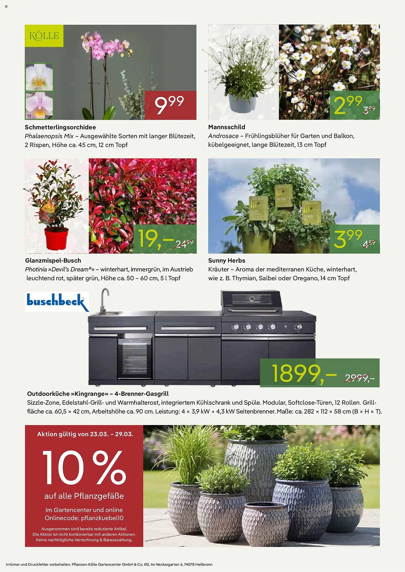Pflanzen Kölle Prospekt