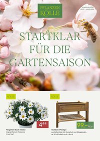 Pflanzen Kölle Prospekt