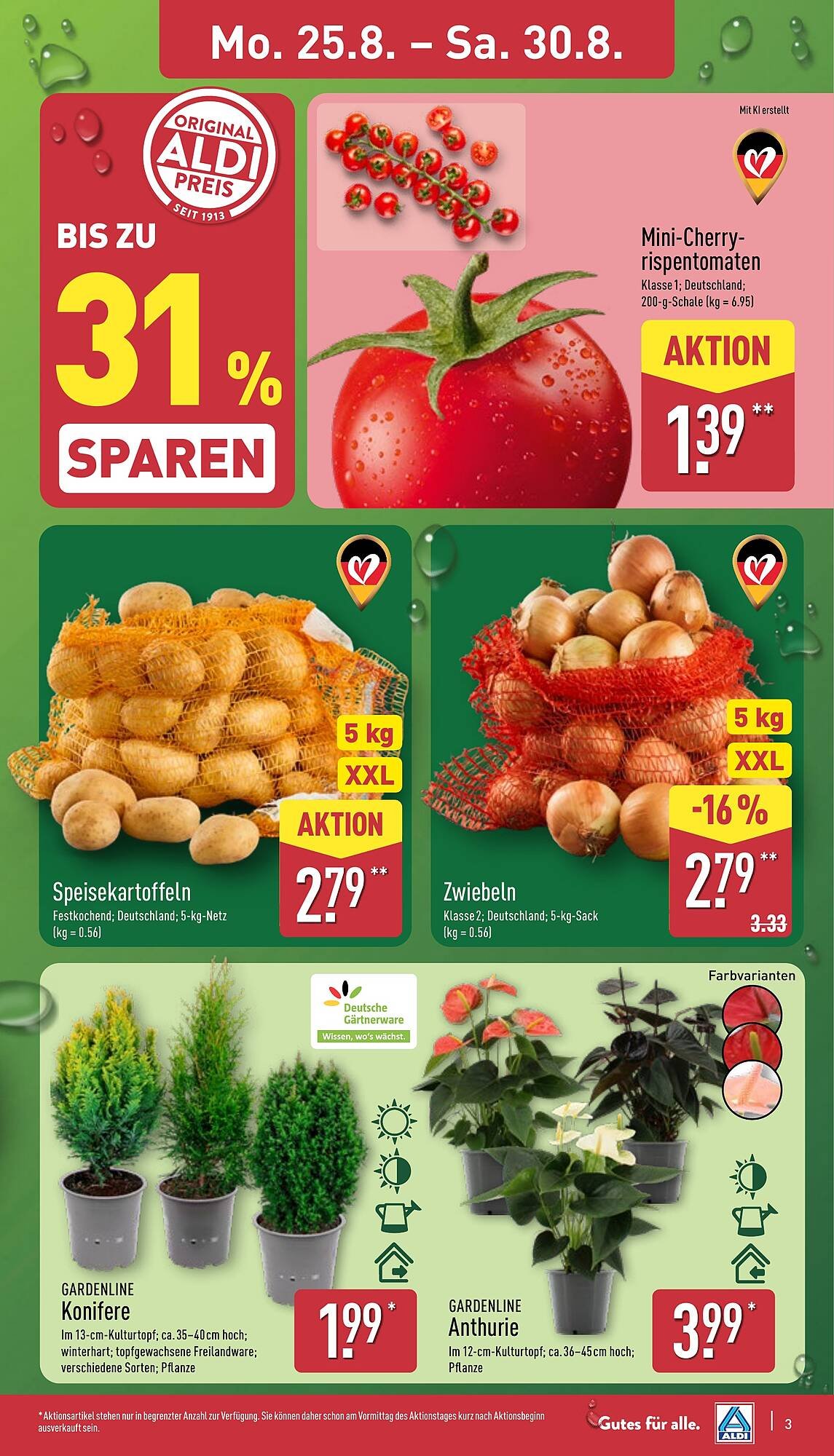 Aldi Nord Prospekt (2025-08-25 - 2025-08-30) | 3