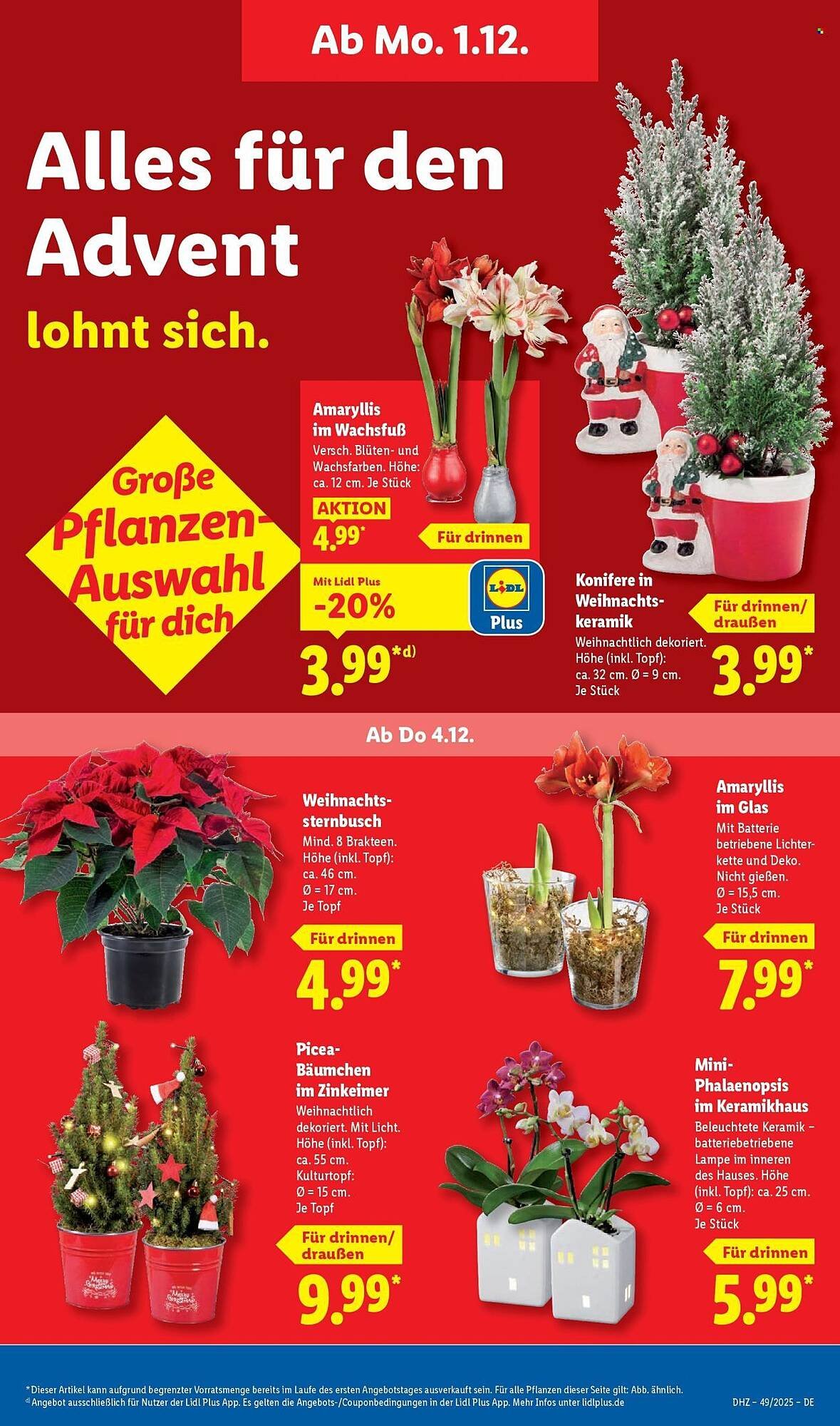 Lidl Prospekt (2025-12-01 - 2025-12-06)