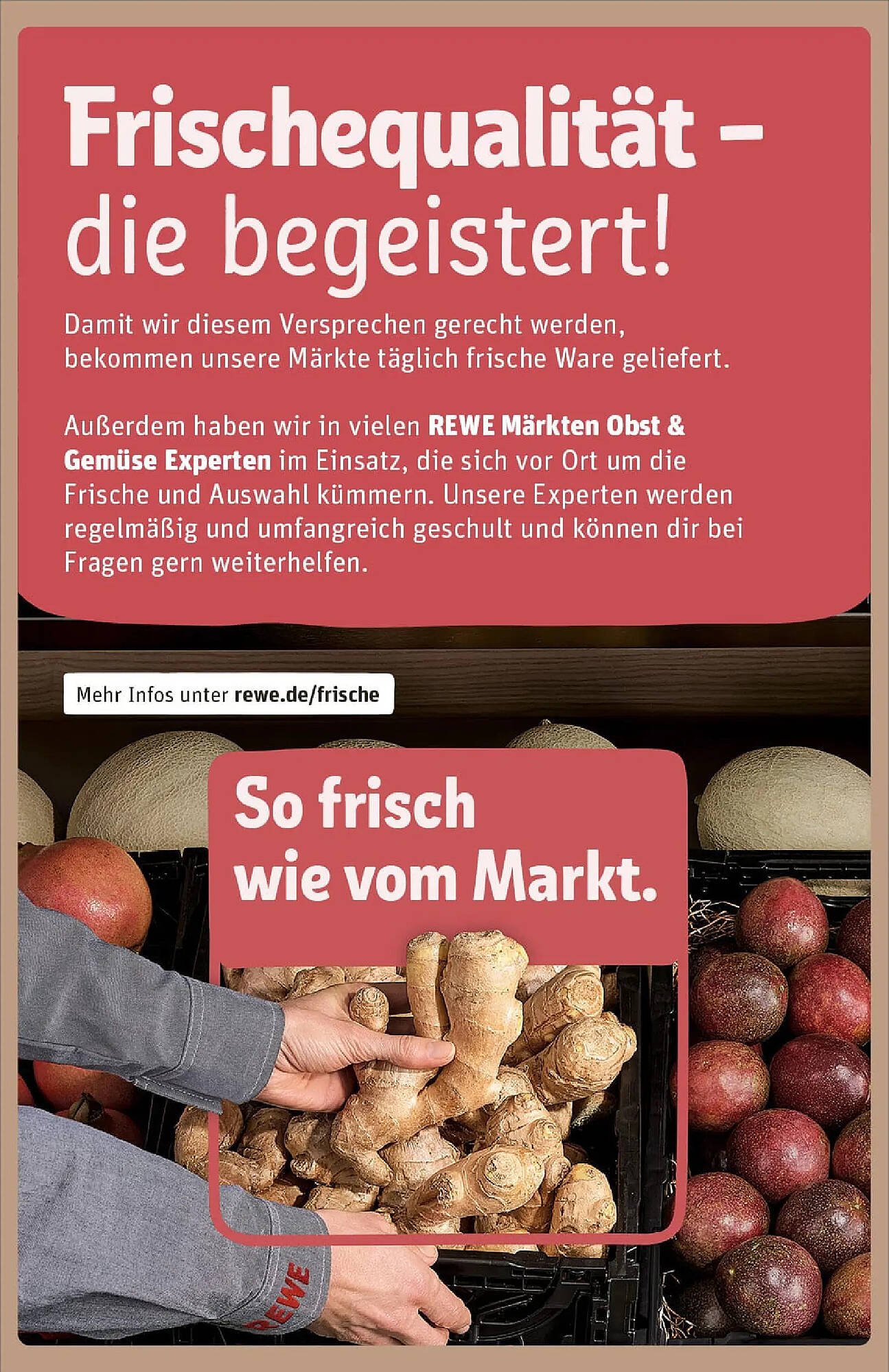 REWE Prospekt (2025-12-21 - 2025-12-28)