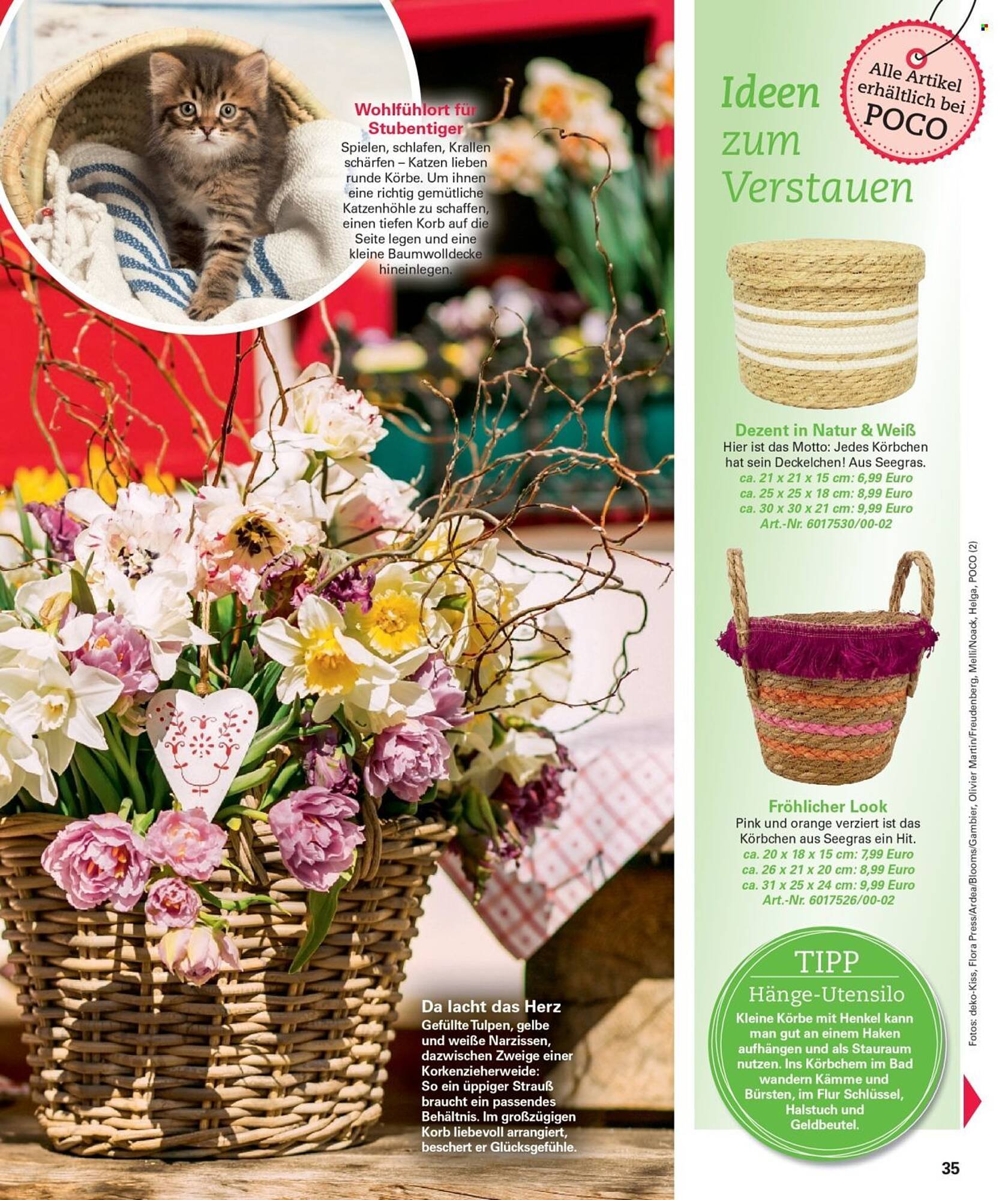 Poco Magazin (2026-02-16 - 2026-05-31)
