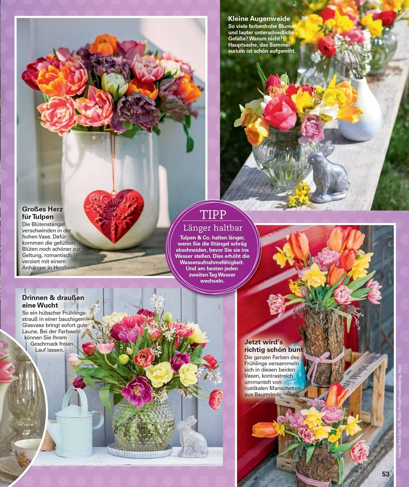 Poco Magazin (2026-02-16 - 2026-05-31)