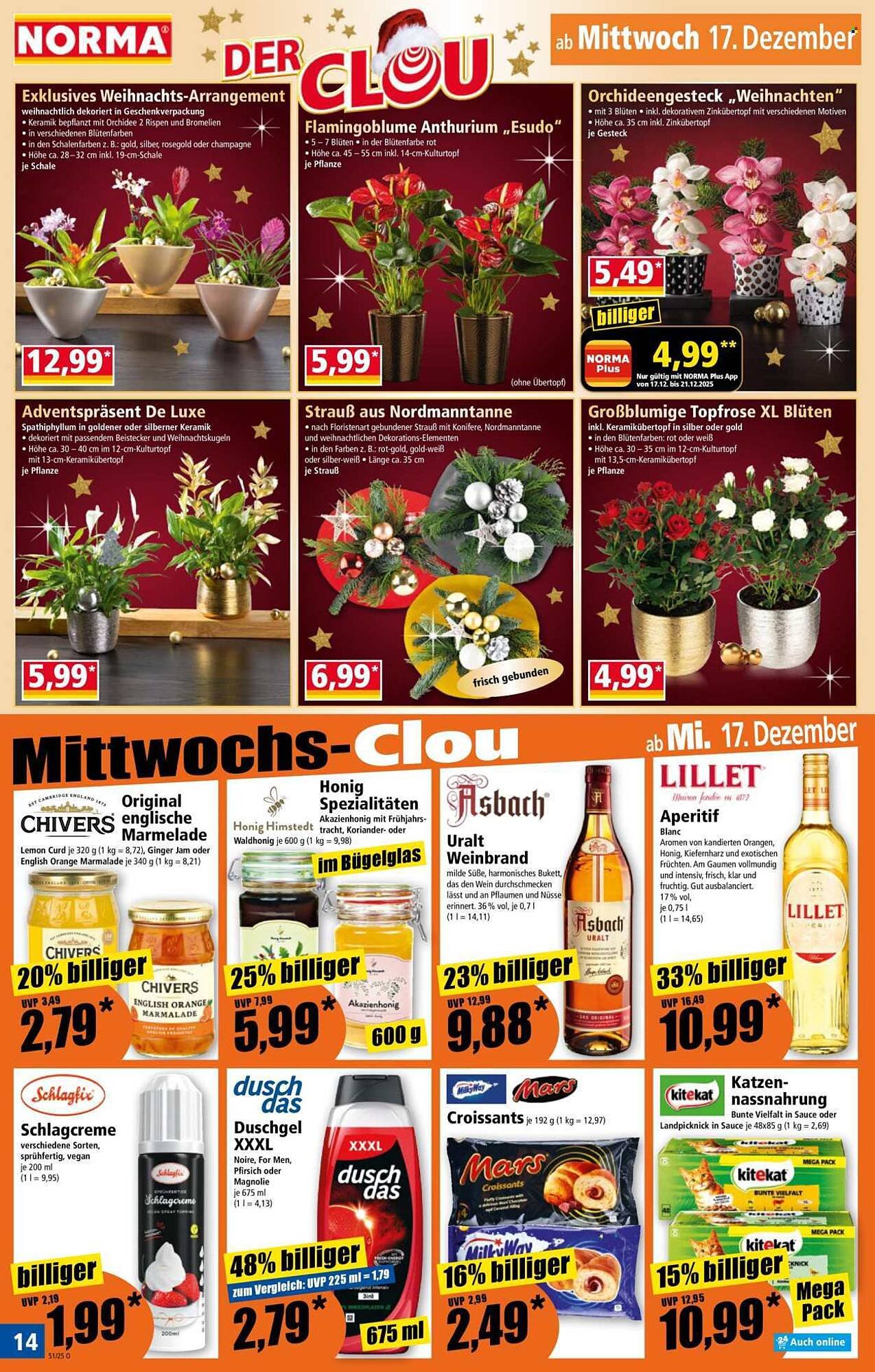 Norma Prospekt (2025-12-15 - 2025-12-21)