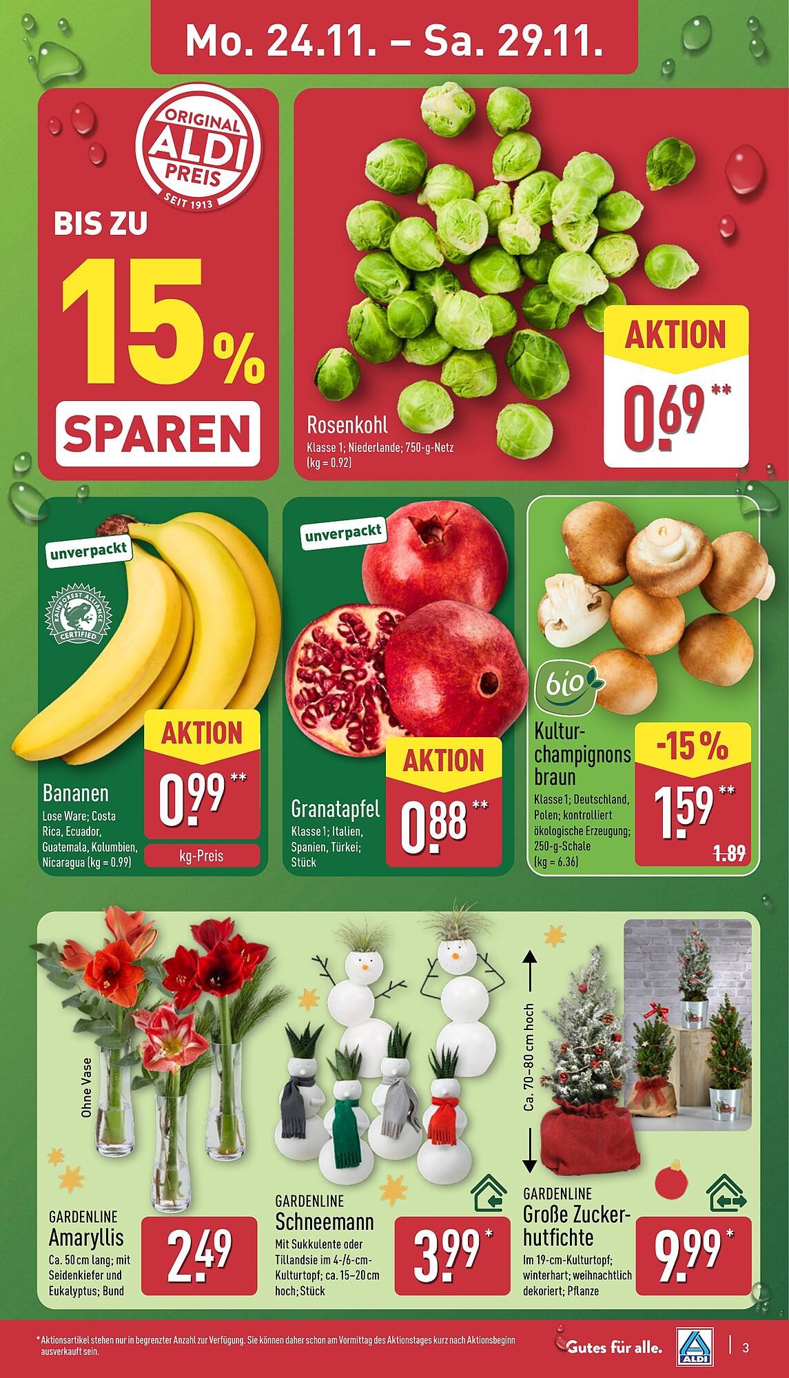 Aldi Nord Prospekt (2025-11-24 - 2025-11-29)