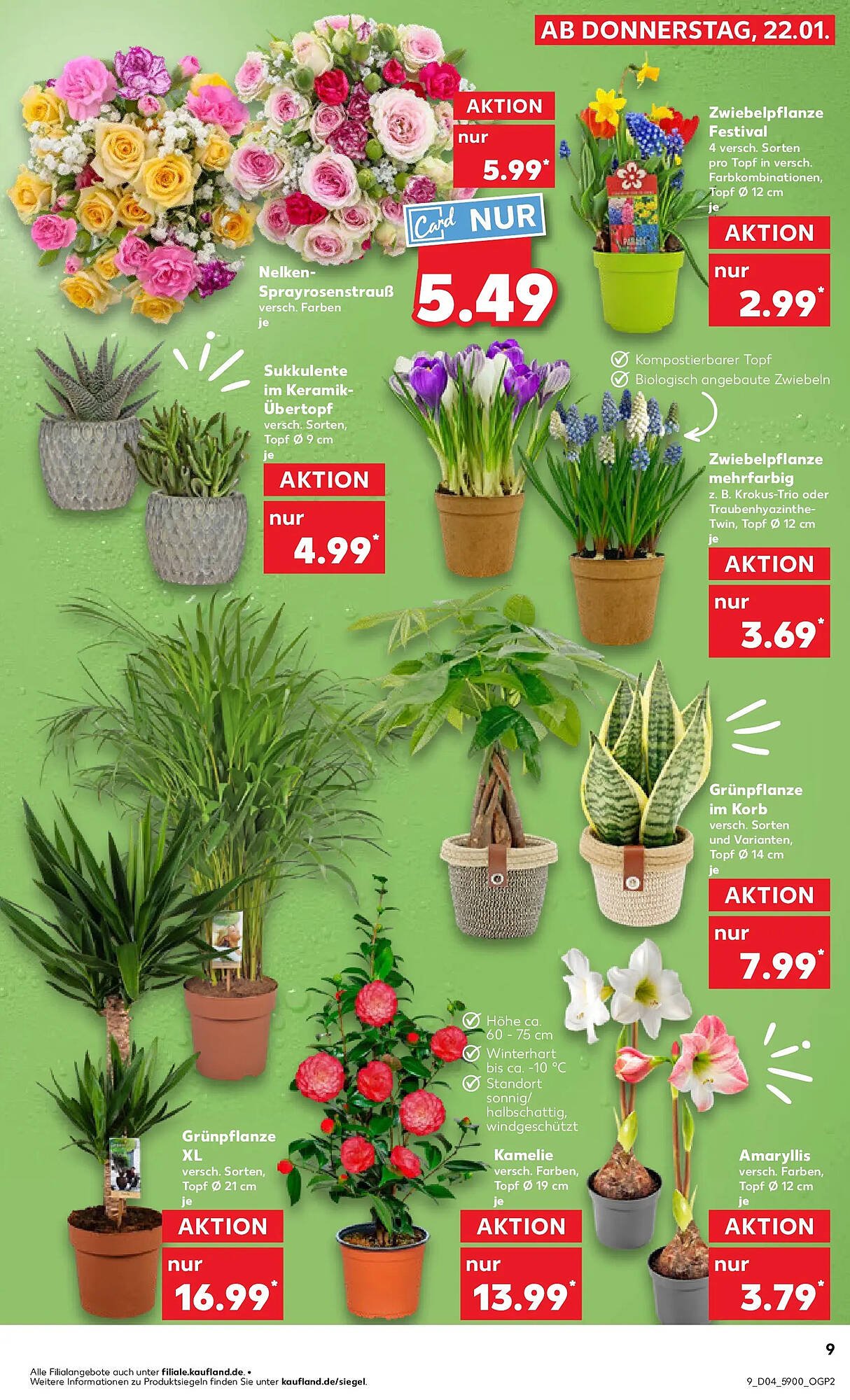 Kaufland Prospekt (2026-01-25 - 2026-01-28)