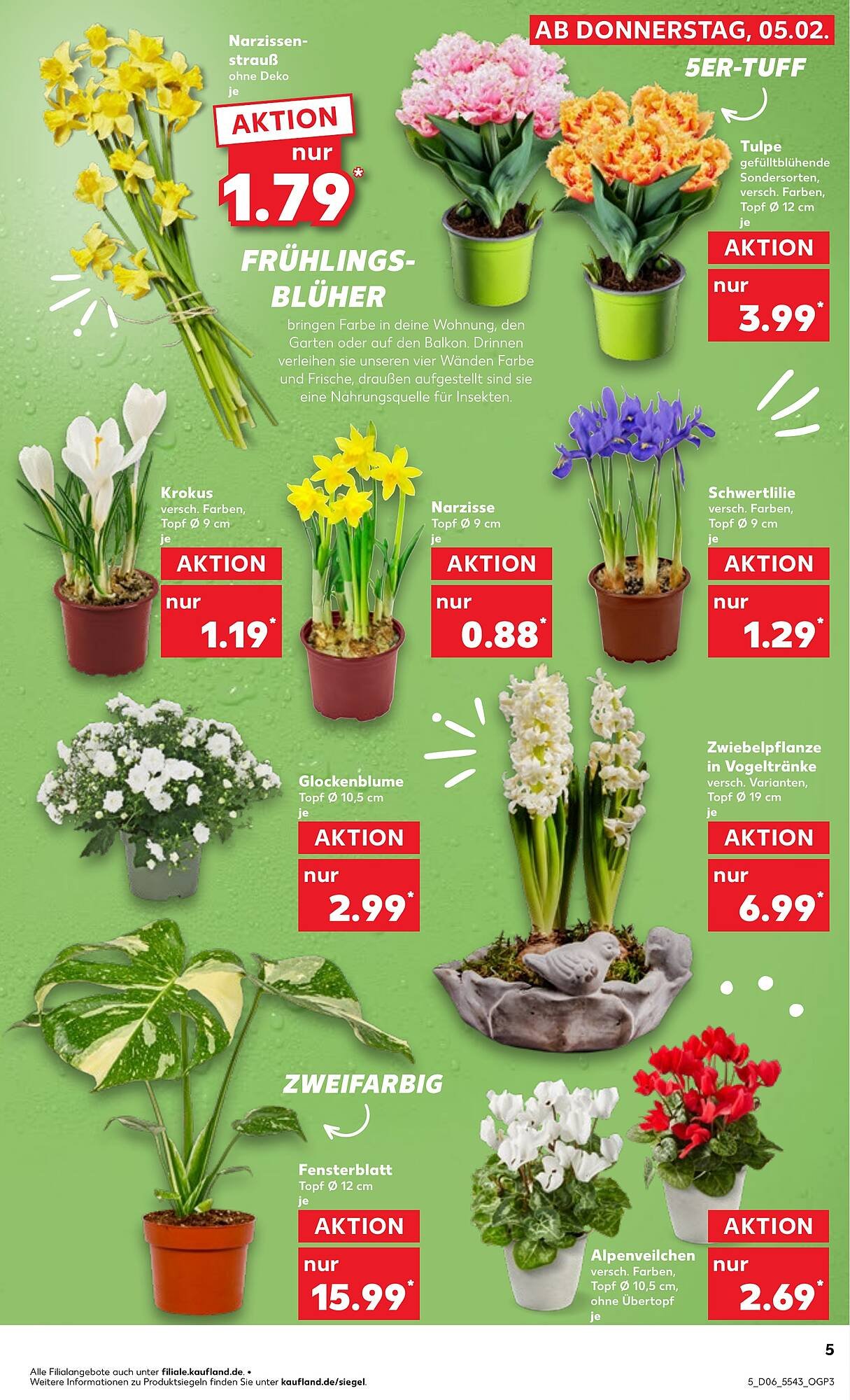 Kaufland Prospekt (2026-02-05 - 2026-02-11)