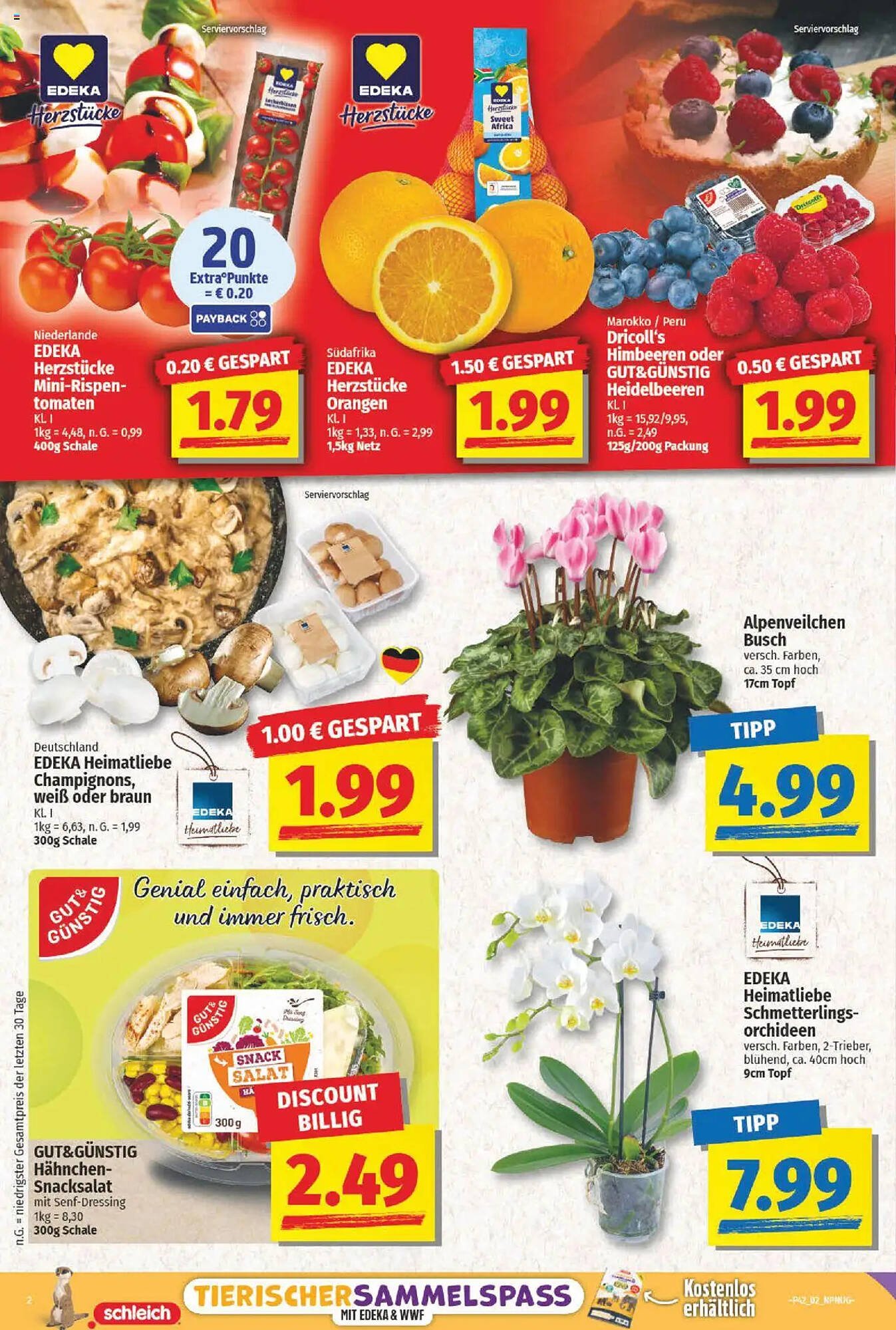 NP Discount Prospekt (2025-10-13 - 2025-10-18) | 2
