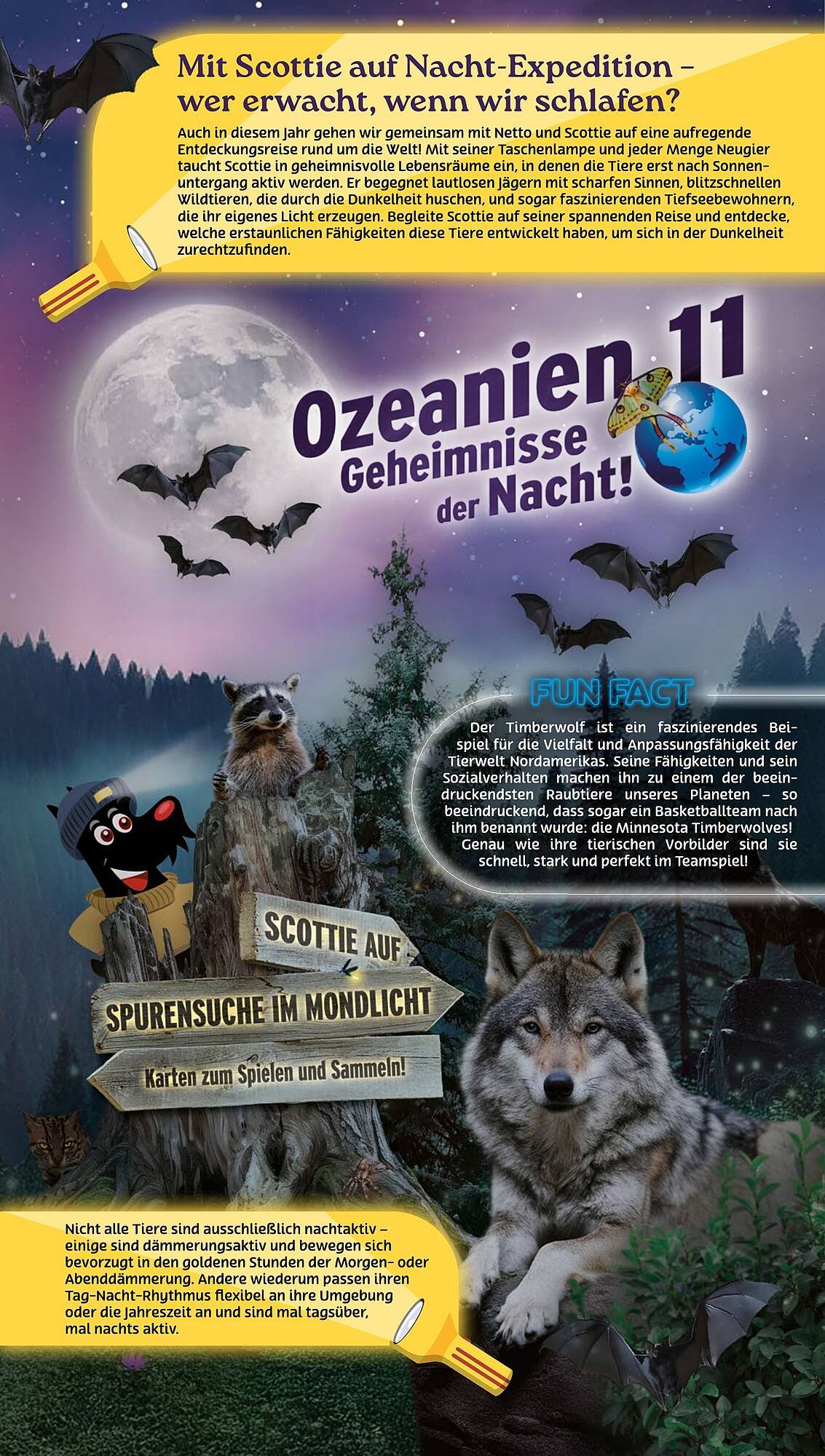 NETTO Prospekt (2025-09-15 - 2025-09-20) | 32