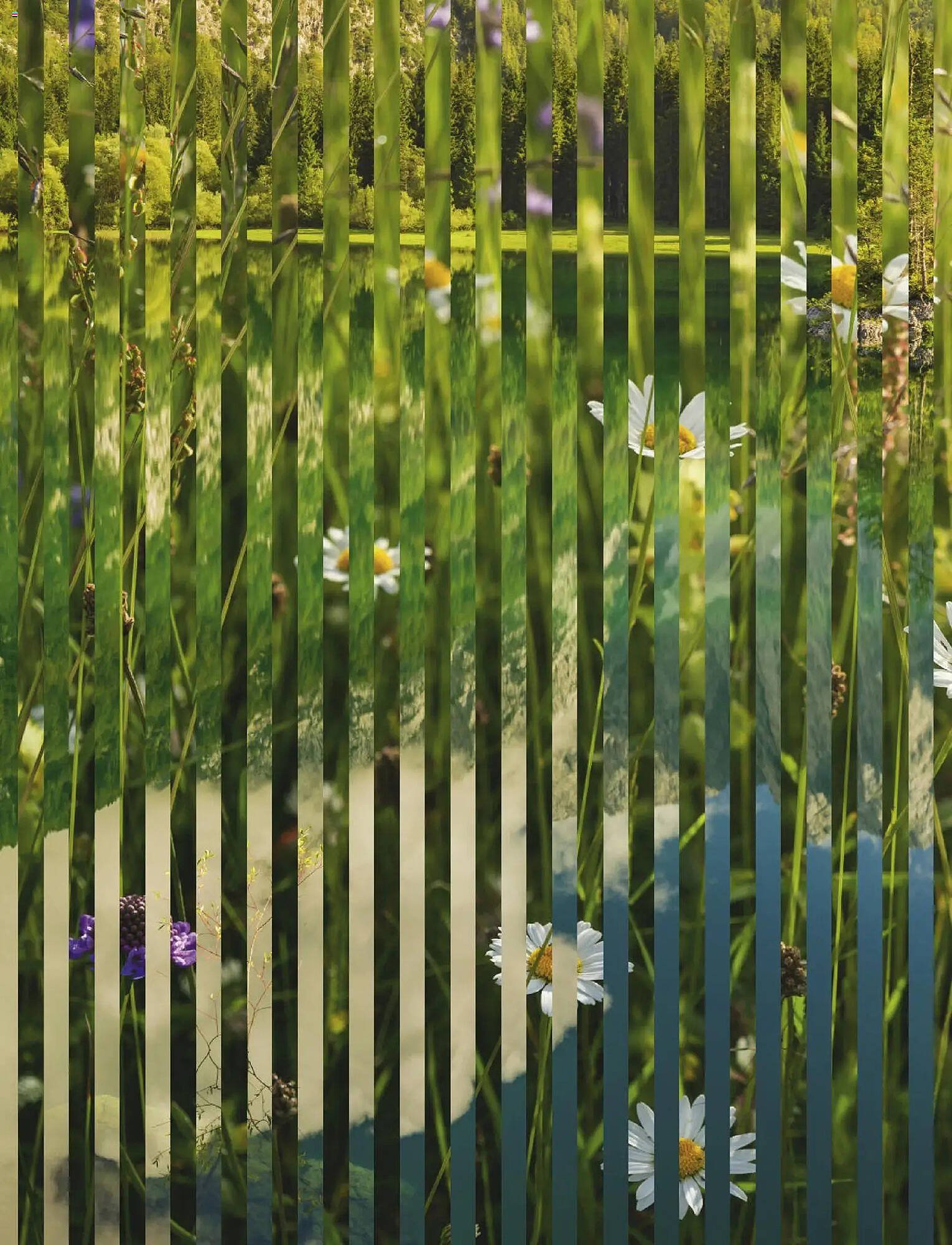 Aida Cruises Prospekt (2025-10-30 - 2026-10-29)