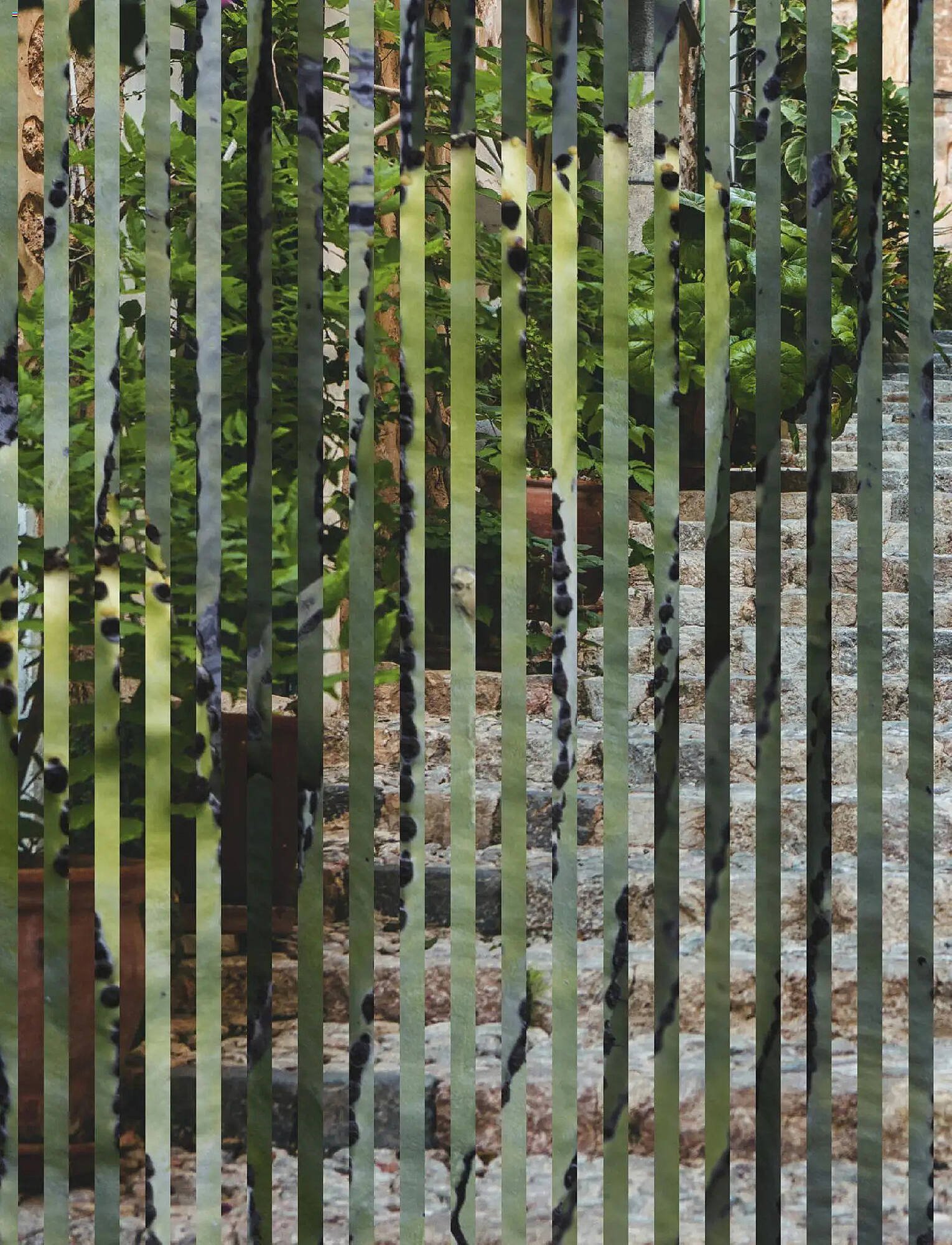 Aida Cruises Prospekt (2025-10-30 - 2026-10-29)