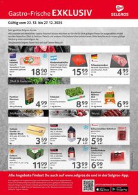 Selgros Prospekt (2025-12-22 - 2025-12-27)