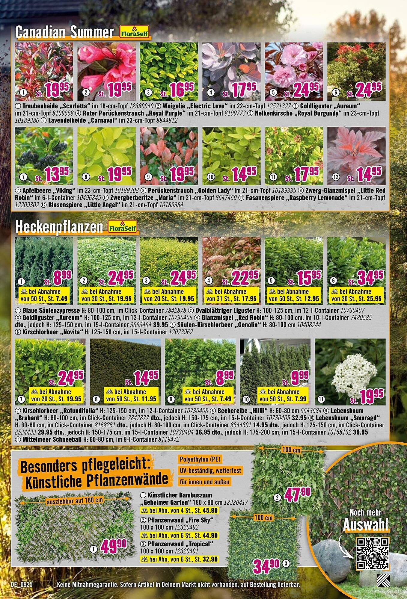 Hornbach Prospekt (2025-09-03 - 2025-10-01) | 15