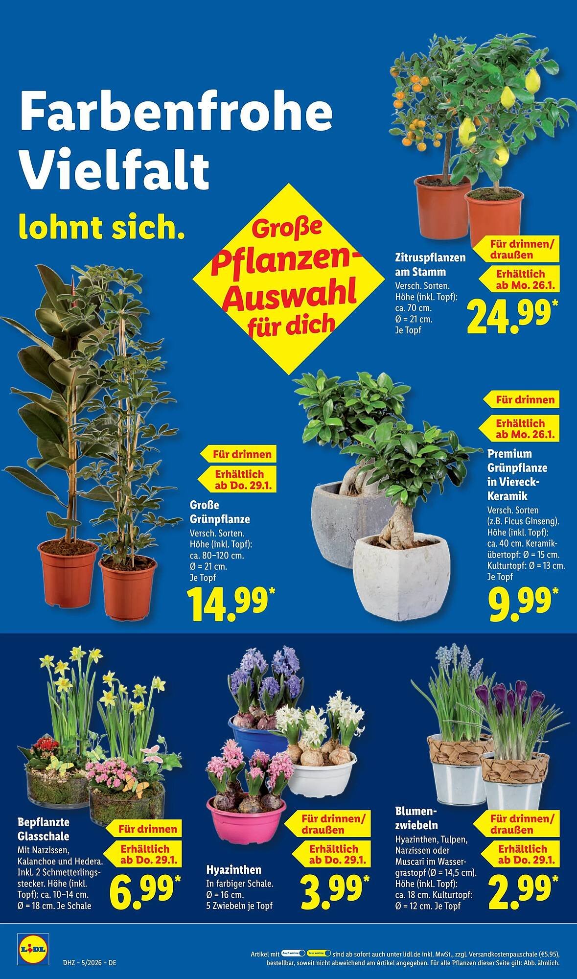 Lidl Prospekt