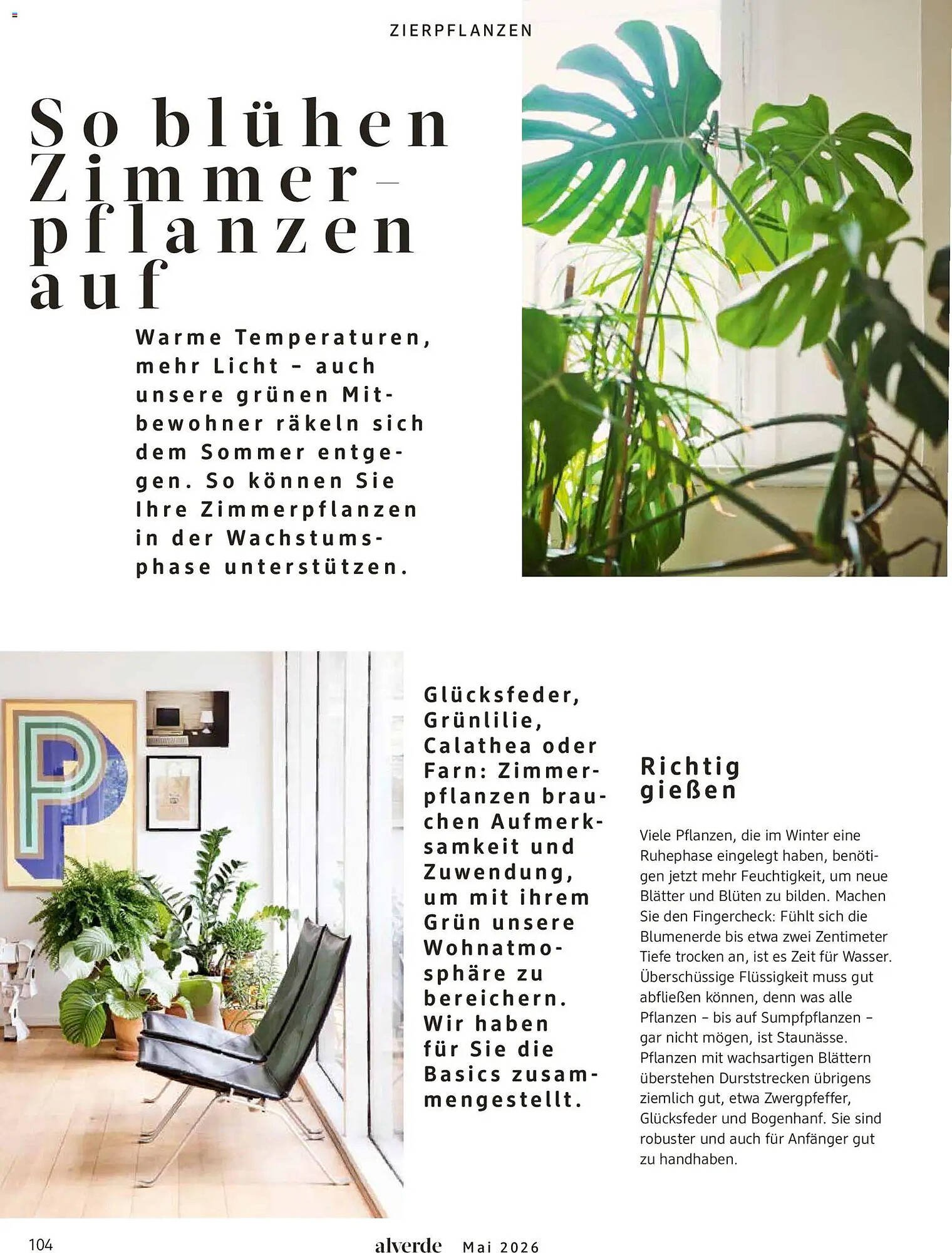 Dm drogerie Magazin (2026-05-01 - 2026-05-31)