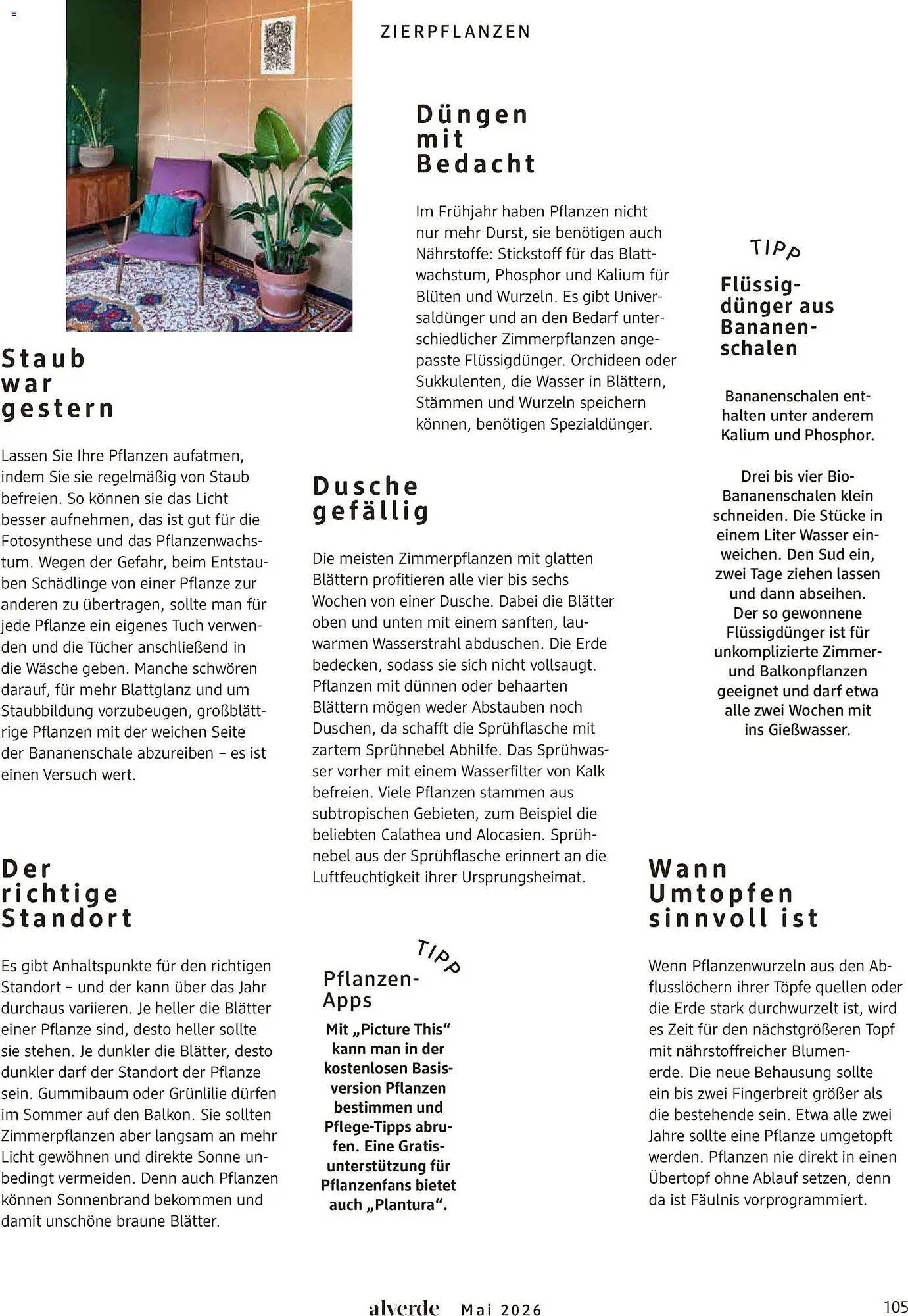 Dm drogerie Magazin (2026-05-01 - 2026-05-31)