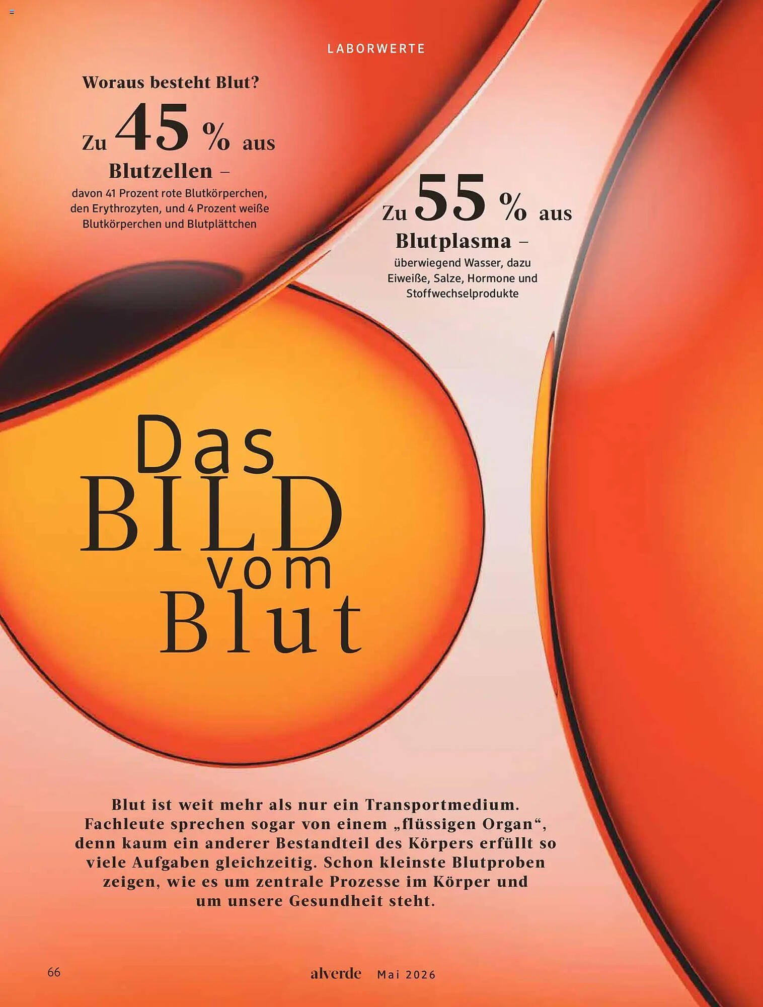 Dm drogerie Magazin (2026-05-01 - 2026-05-31)