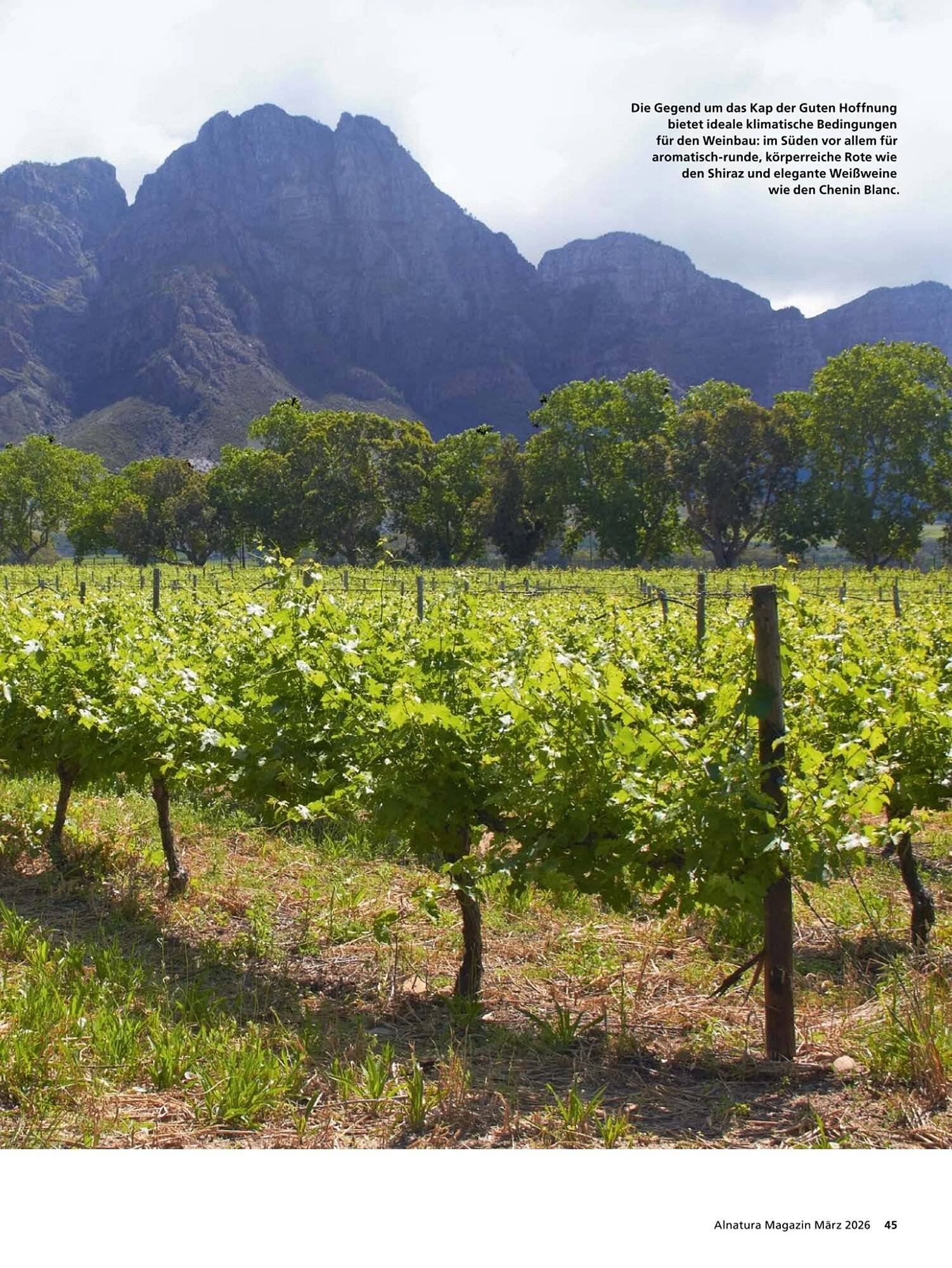 Alnatura Magazin (2026-03-04 - 2026-04-01)