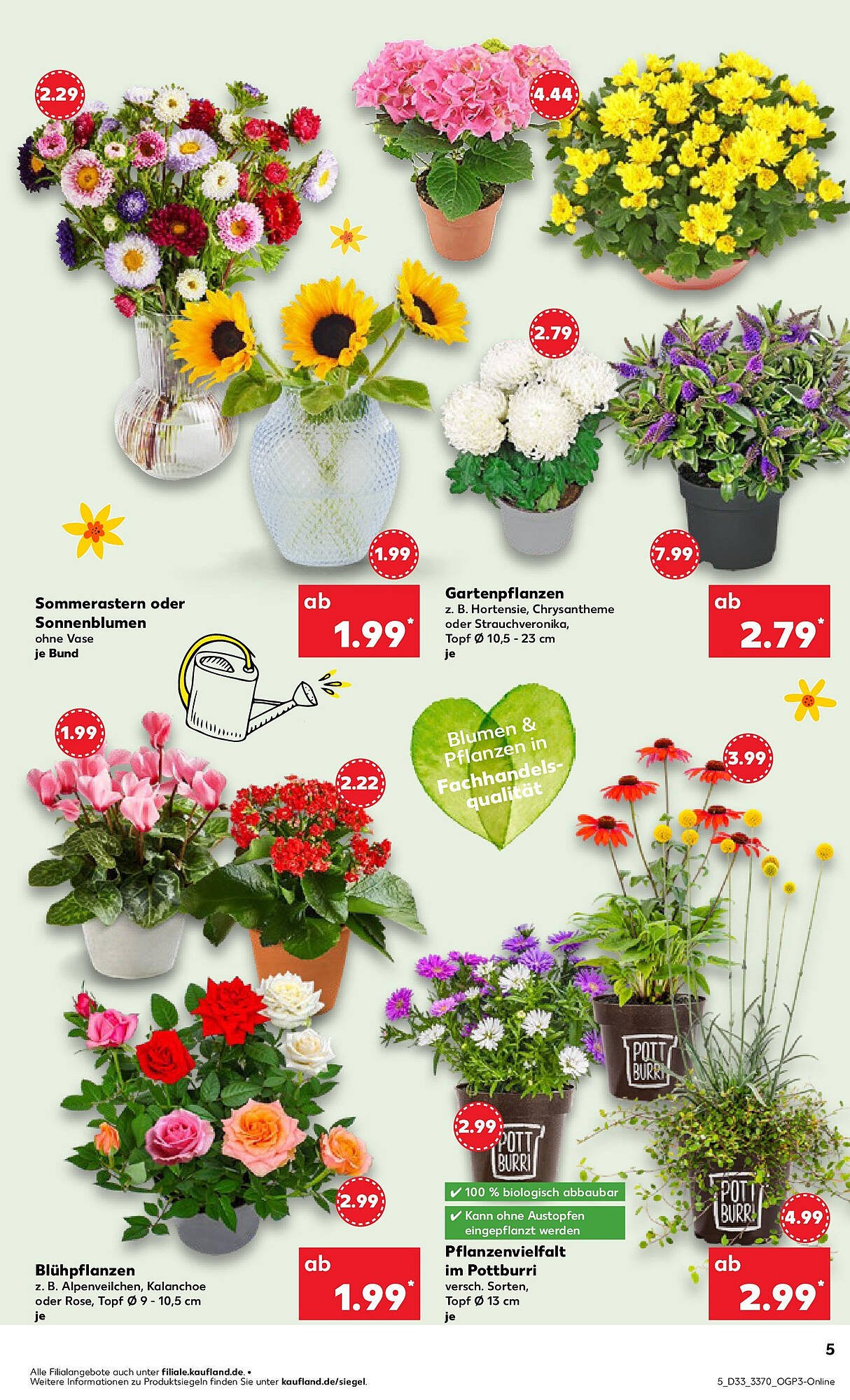 Kaufland Prospekt (2025-08-17 - 2025-08-20)