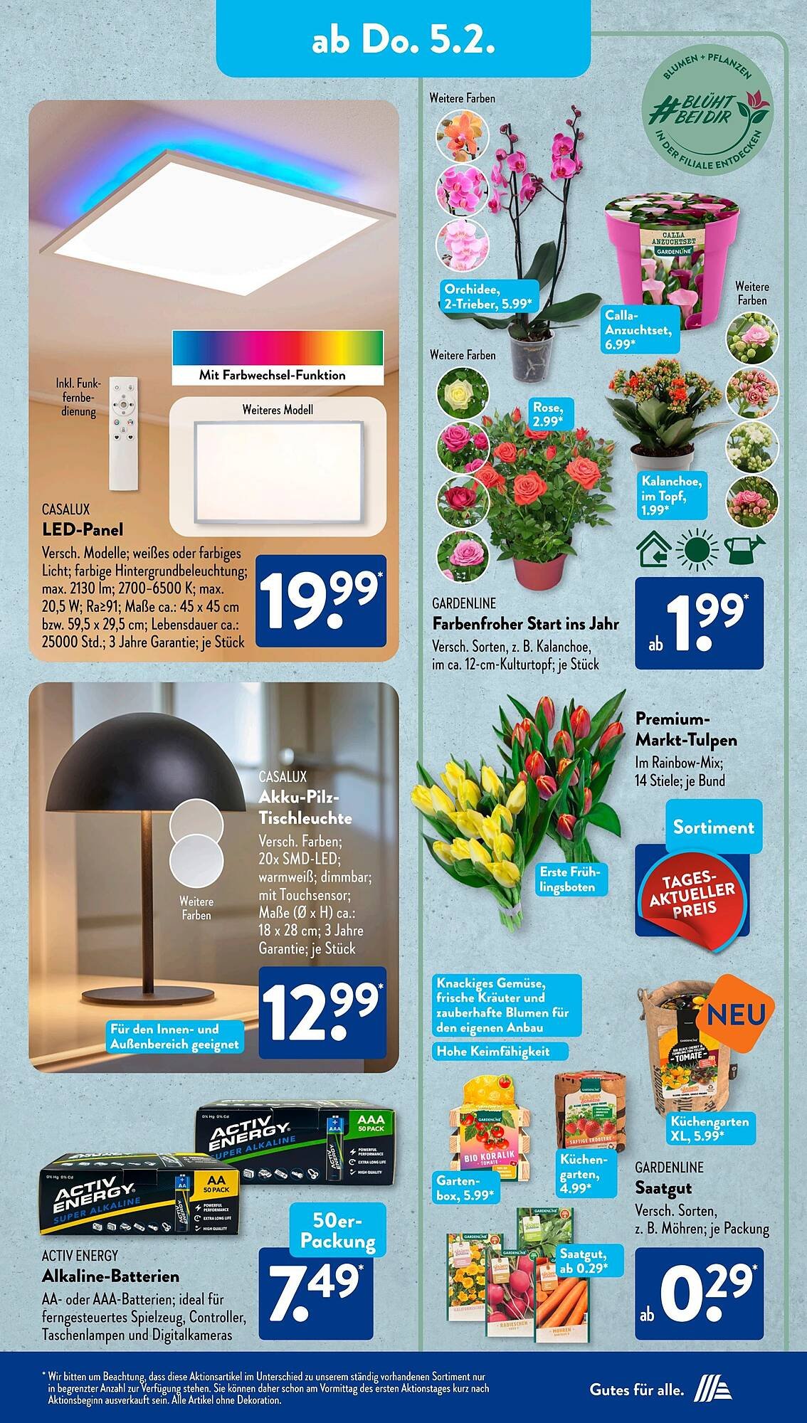 Aldi Süd Prospekt (2026-02-02 - 2026-02-08)