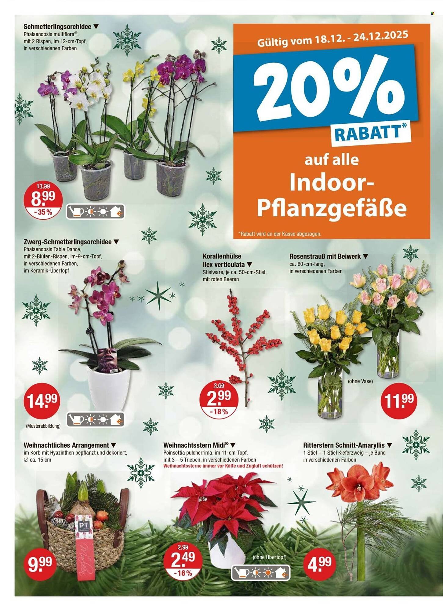 V Markt Prospekt (2025-12-18 - 2025-12-24)