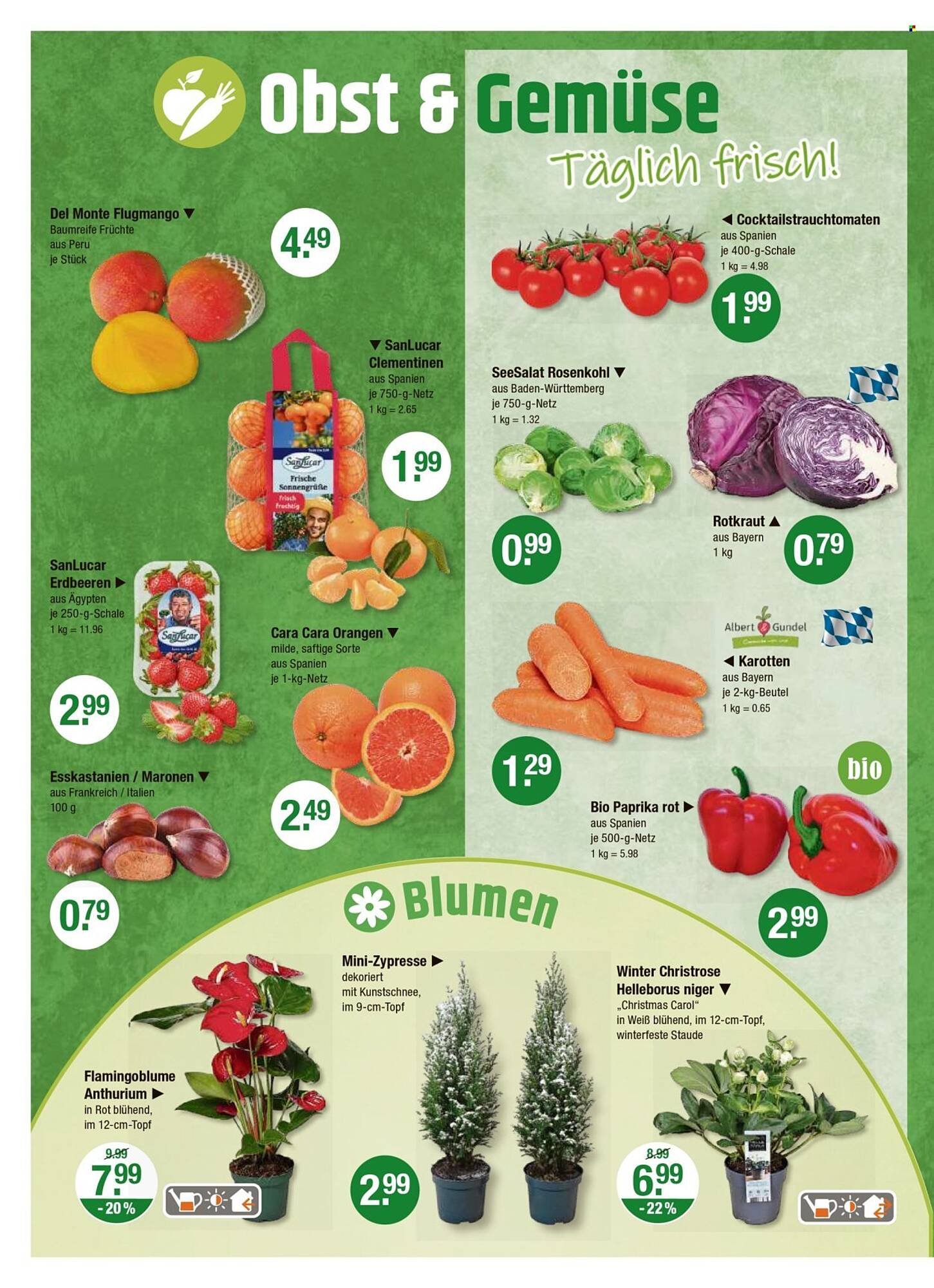 V Markt Prospekt (2025-12-18 - 2025-12-24)