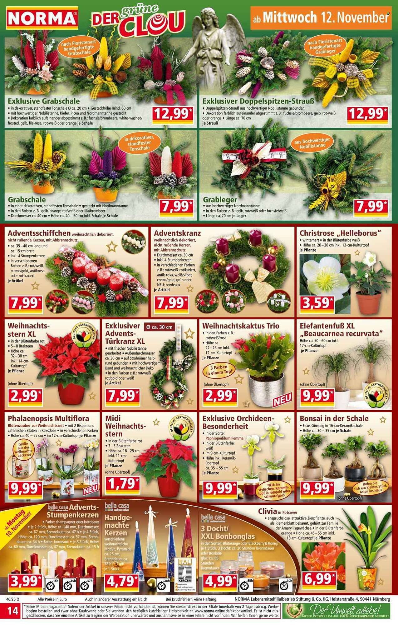 Norma Prospekt (2025-11-10 - 2025-11-16)