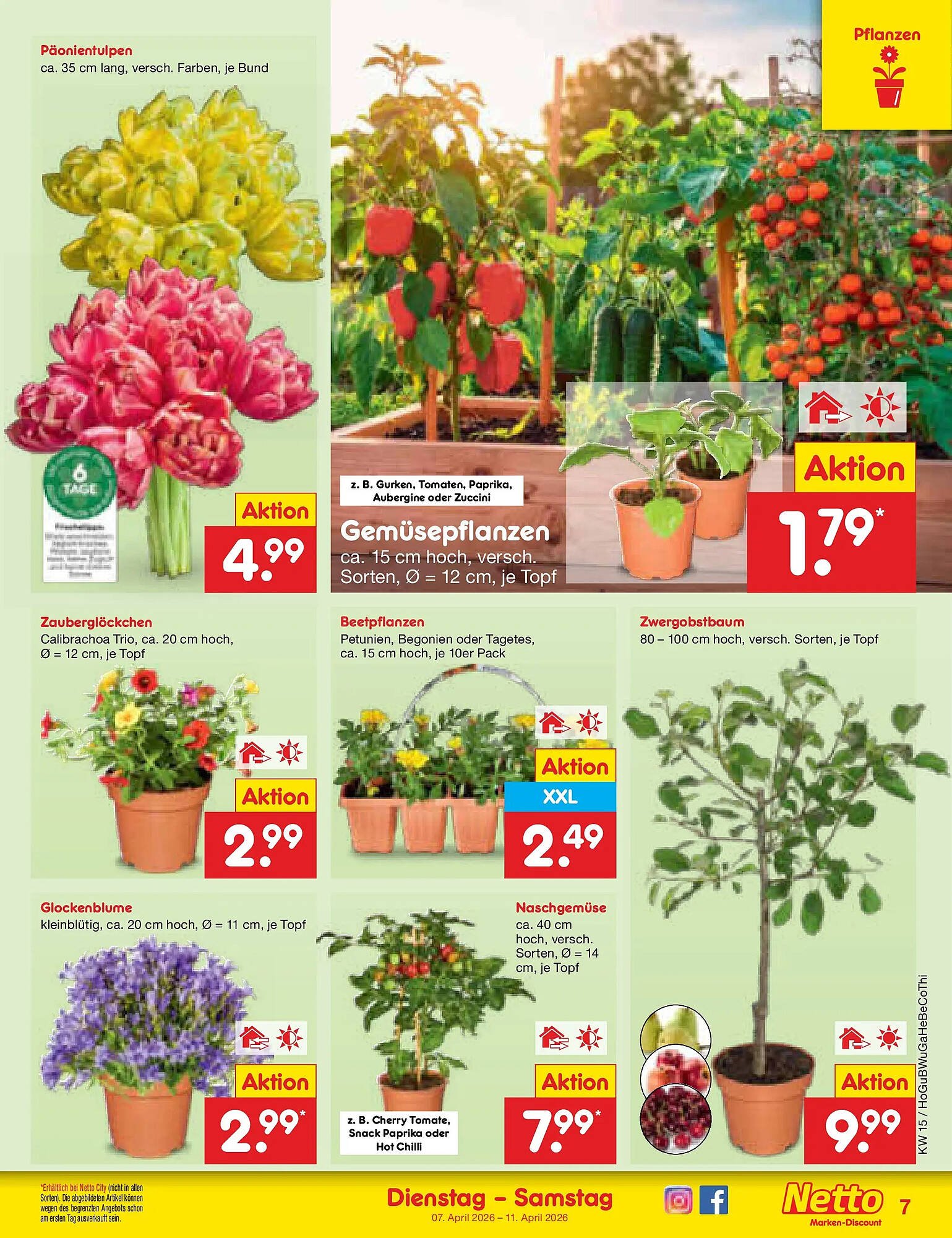 Netto Marken-Discount Prospekt (2026-04-05 - 2026-04-11)