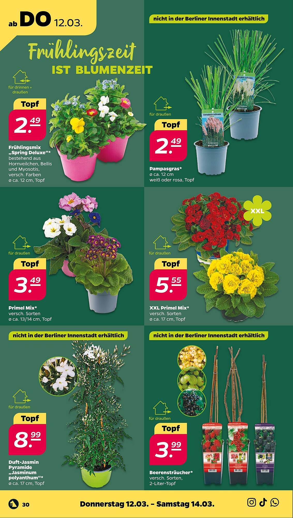 NETTO Prospekt (2026-03-09 - 2026-03-14)