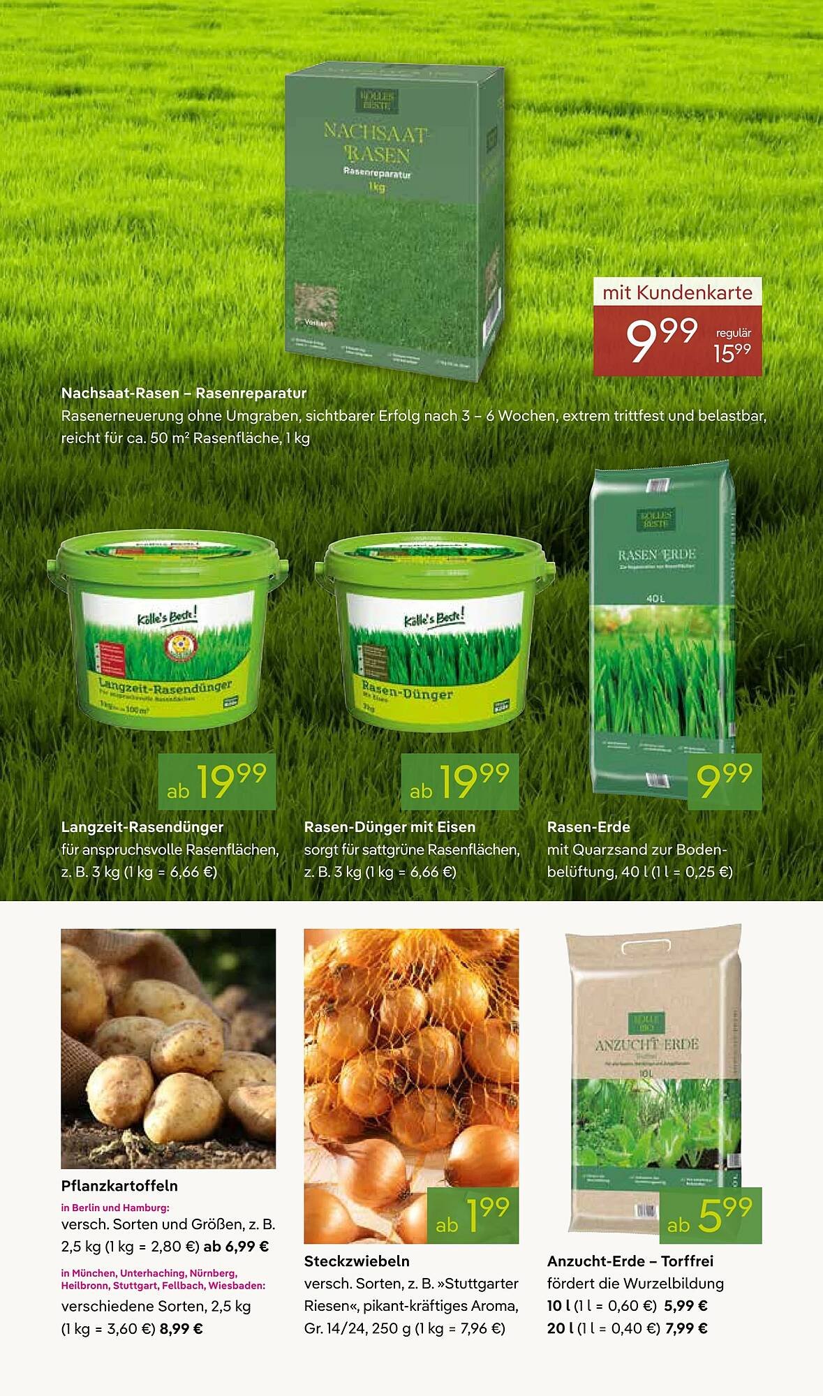 Pflanzen Kölle Prospekt