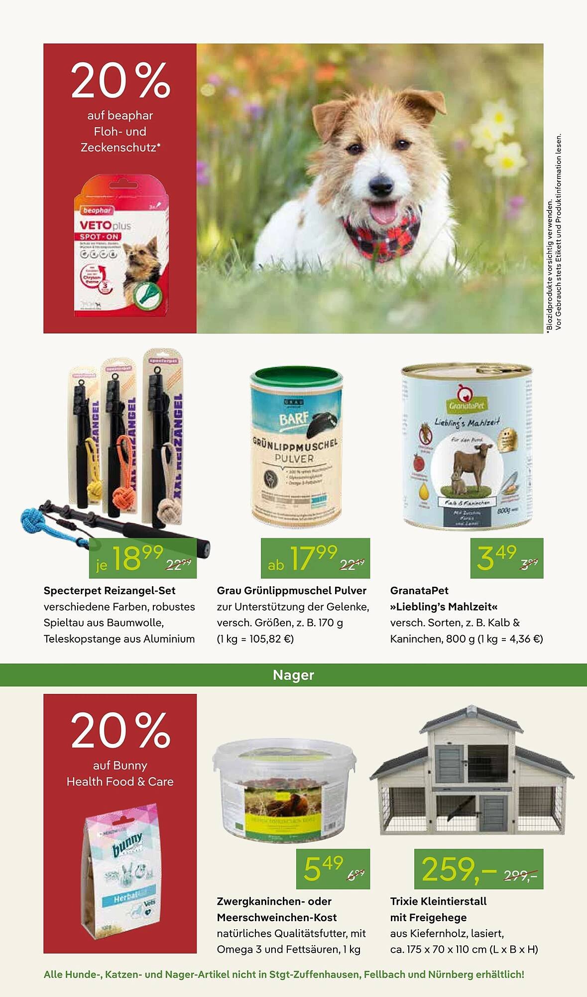 Pflanzen Kölle Prospekt