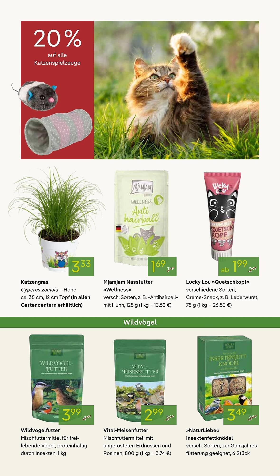 Pflanzen Kölle Prospekt