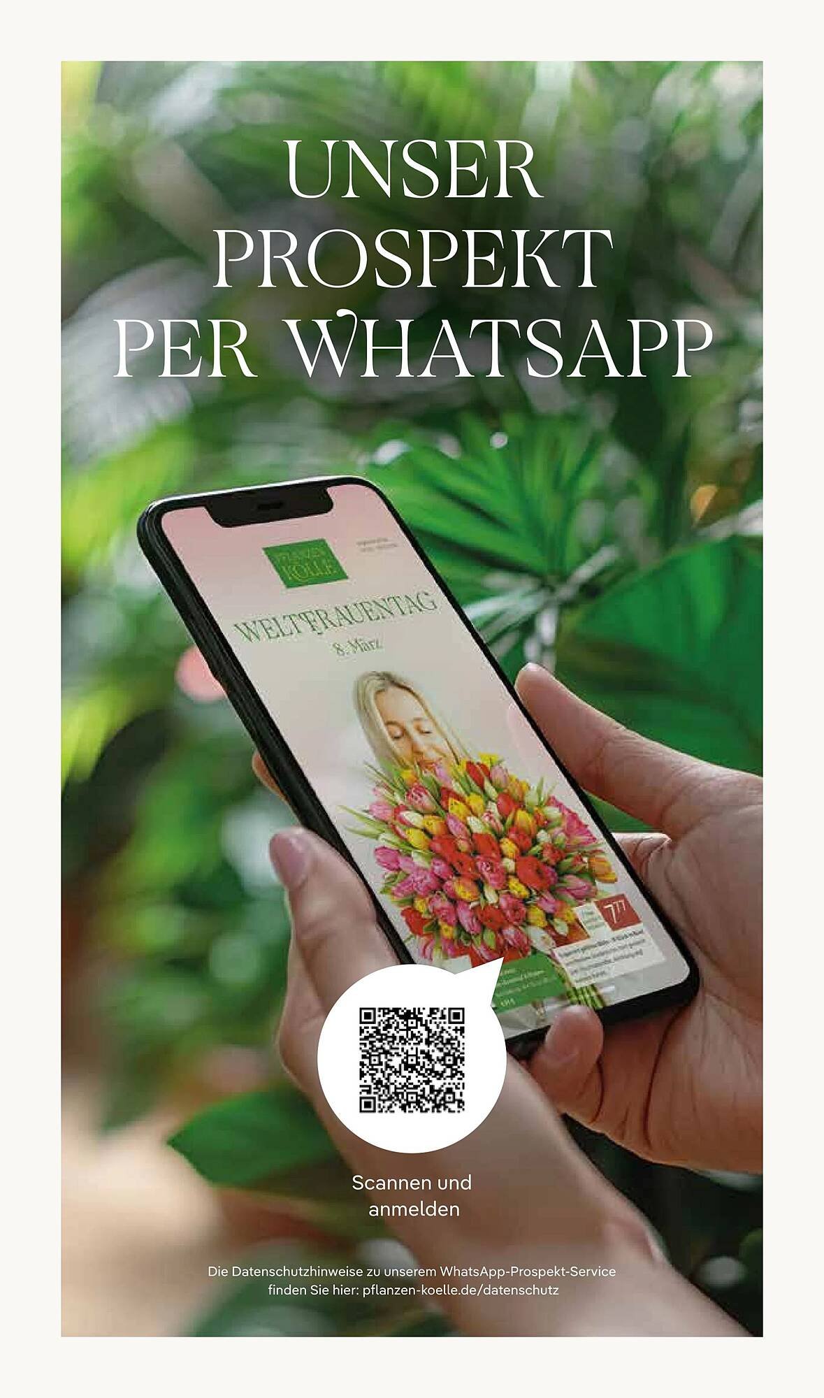 Pflanzen Kölle Prospekt