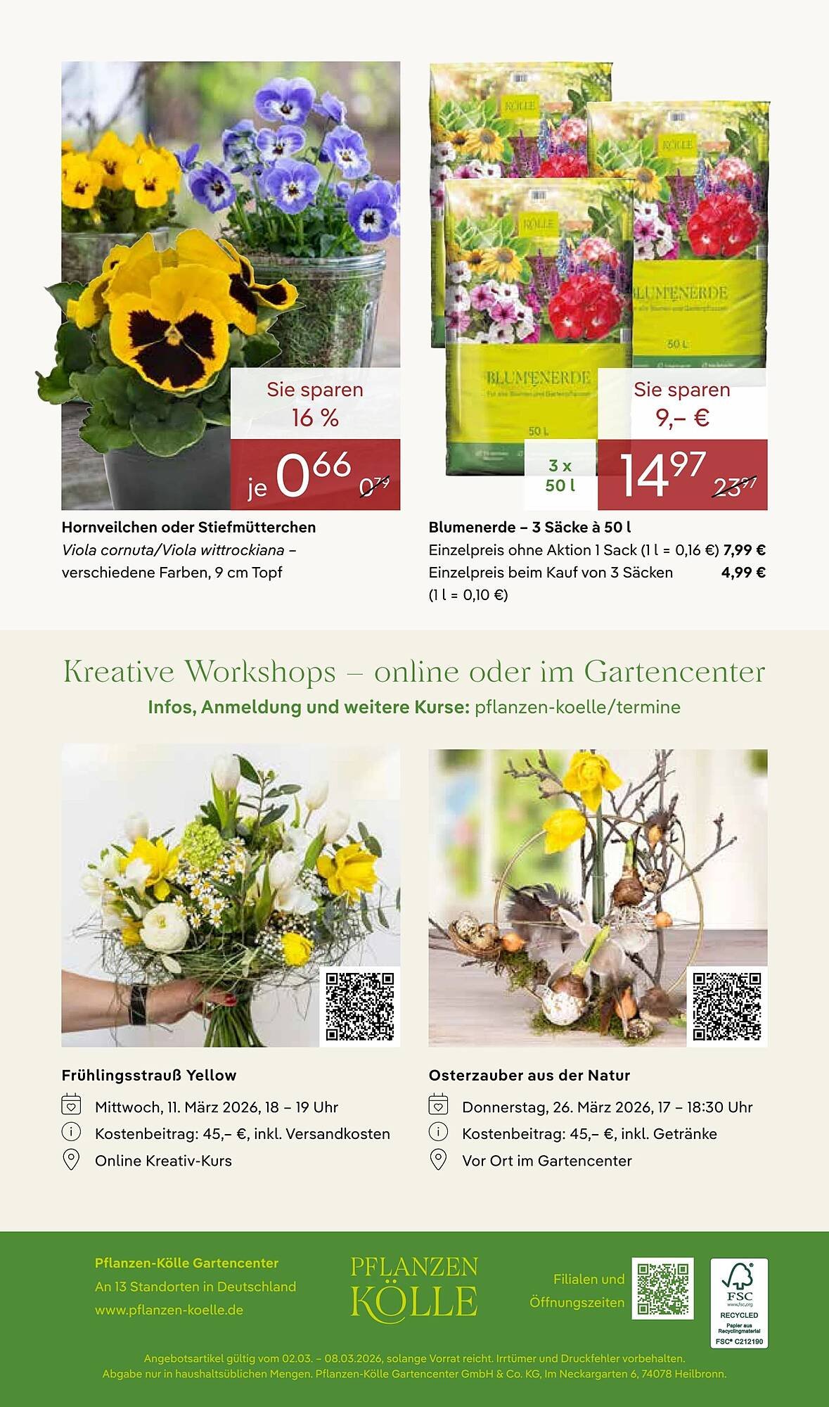 Pflanzen Kölle Prospekt