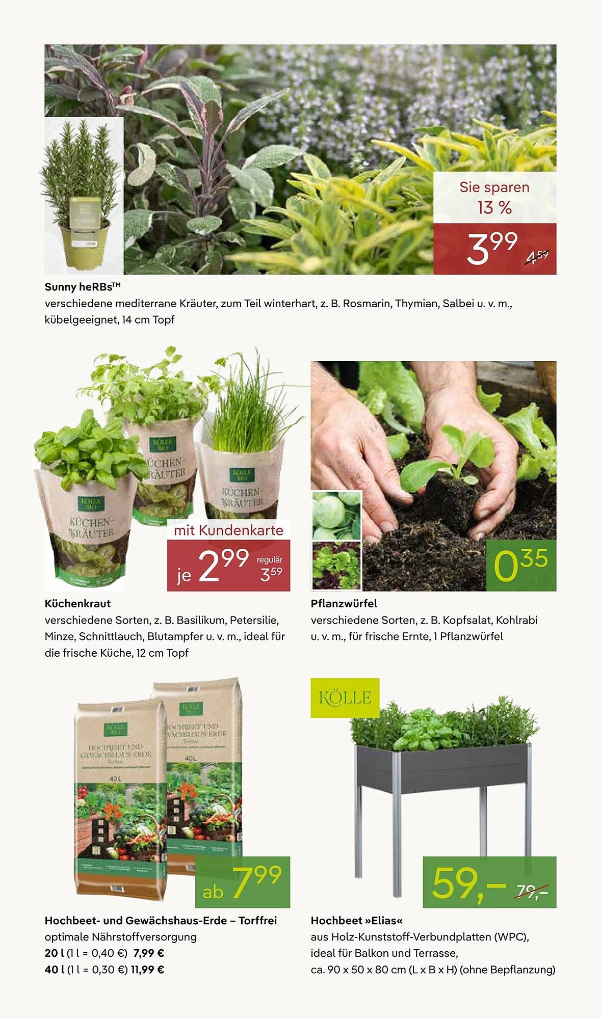 Pflanzen Kölle Prospekt