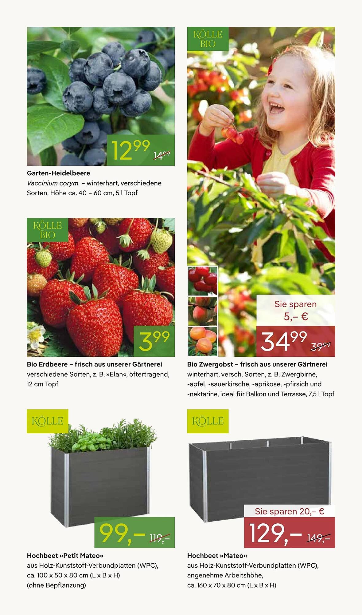 Pflanzen Kölle Prospekt