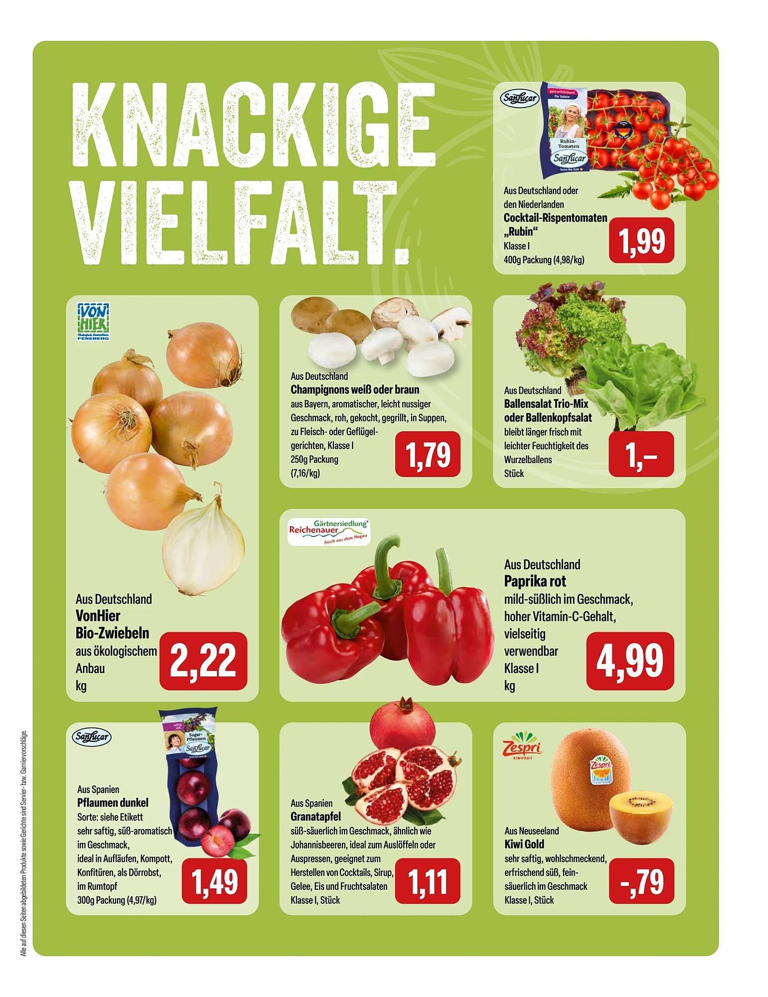Feneberg Prospekt (2025-09-11 - 2025-09-14) | 5