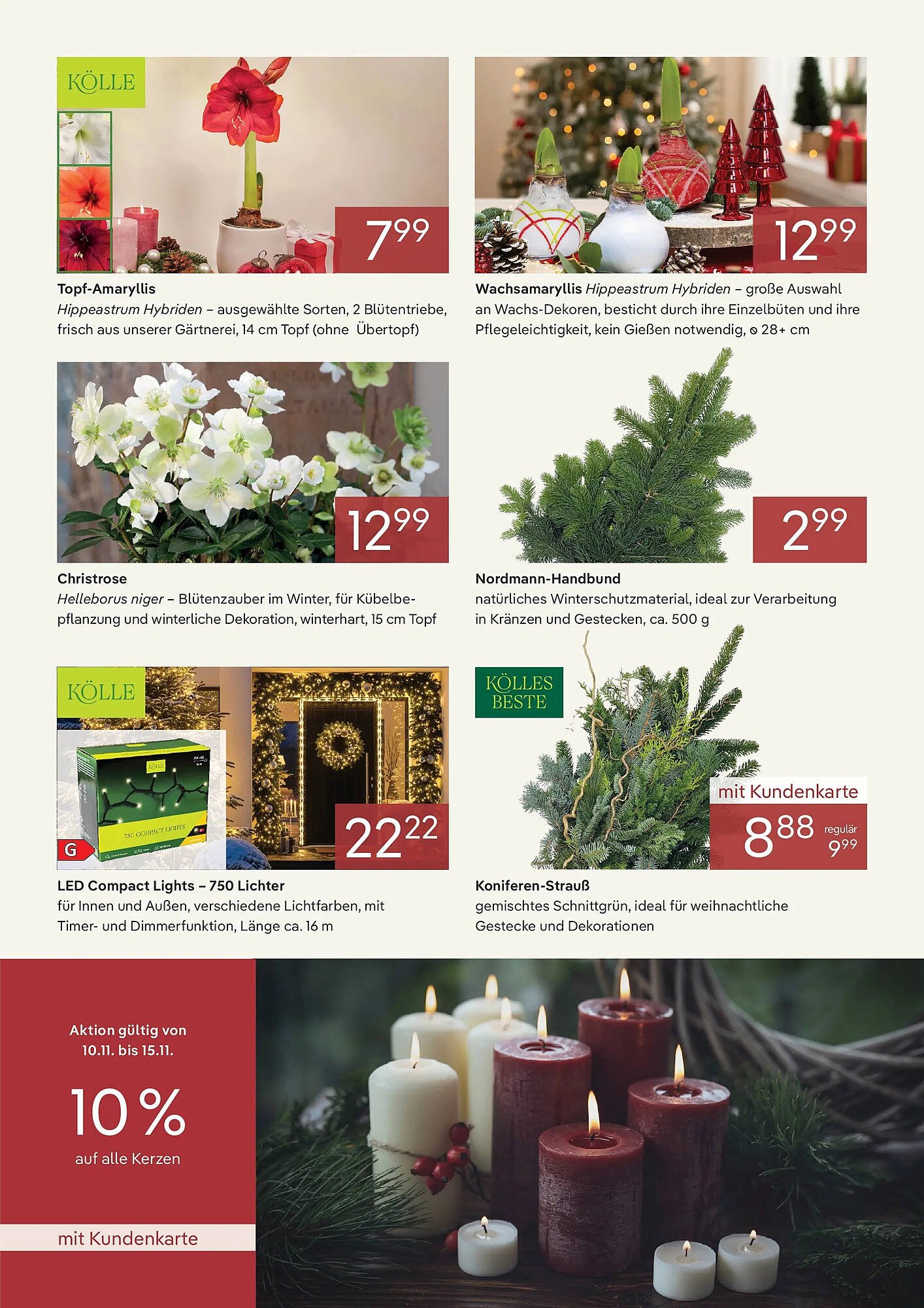 Pflanzen Kölle Prospekt (2025-10-31 - 2025-11-30) | 2