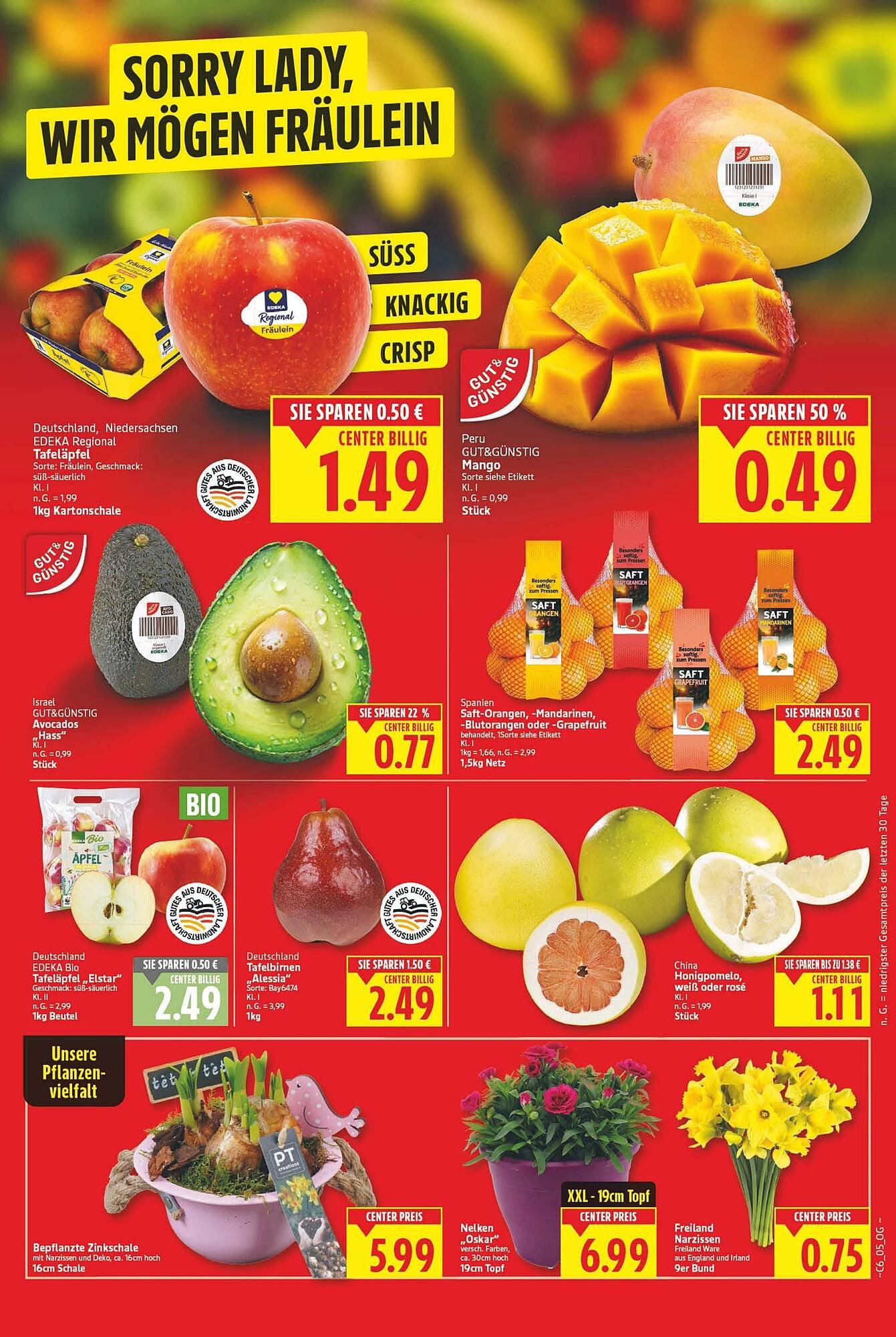 E-Center Prospekt (2026-02-02 - 2026-02-08)