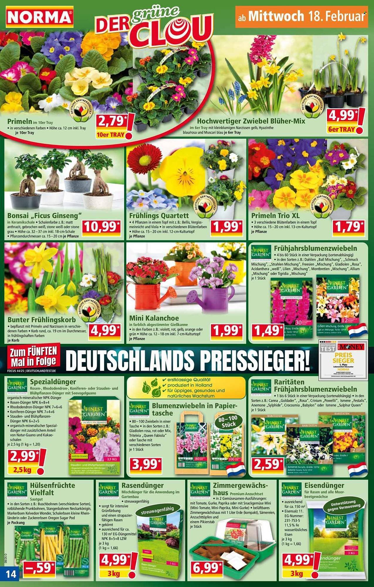 Norma Prospekt (2026-02-16 - 2026-02-22)