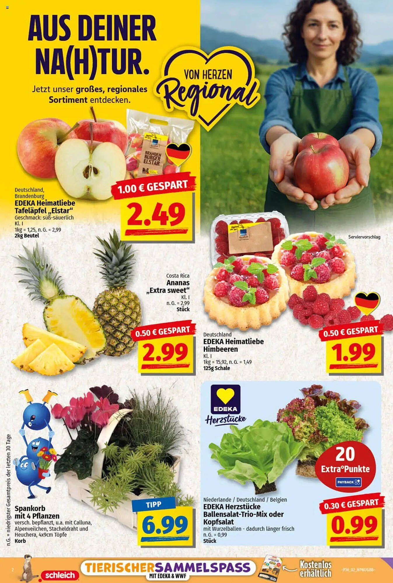 NP Discount Prospekt (2025-09-01 - 2025-09-06) | 2