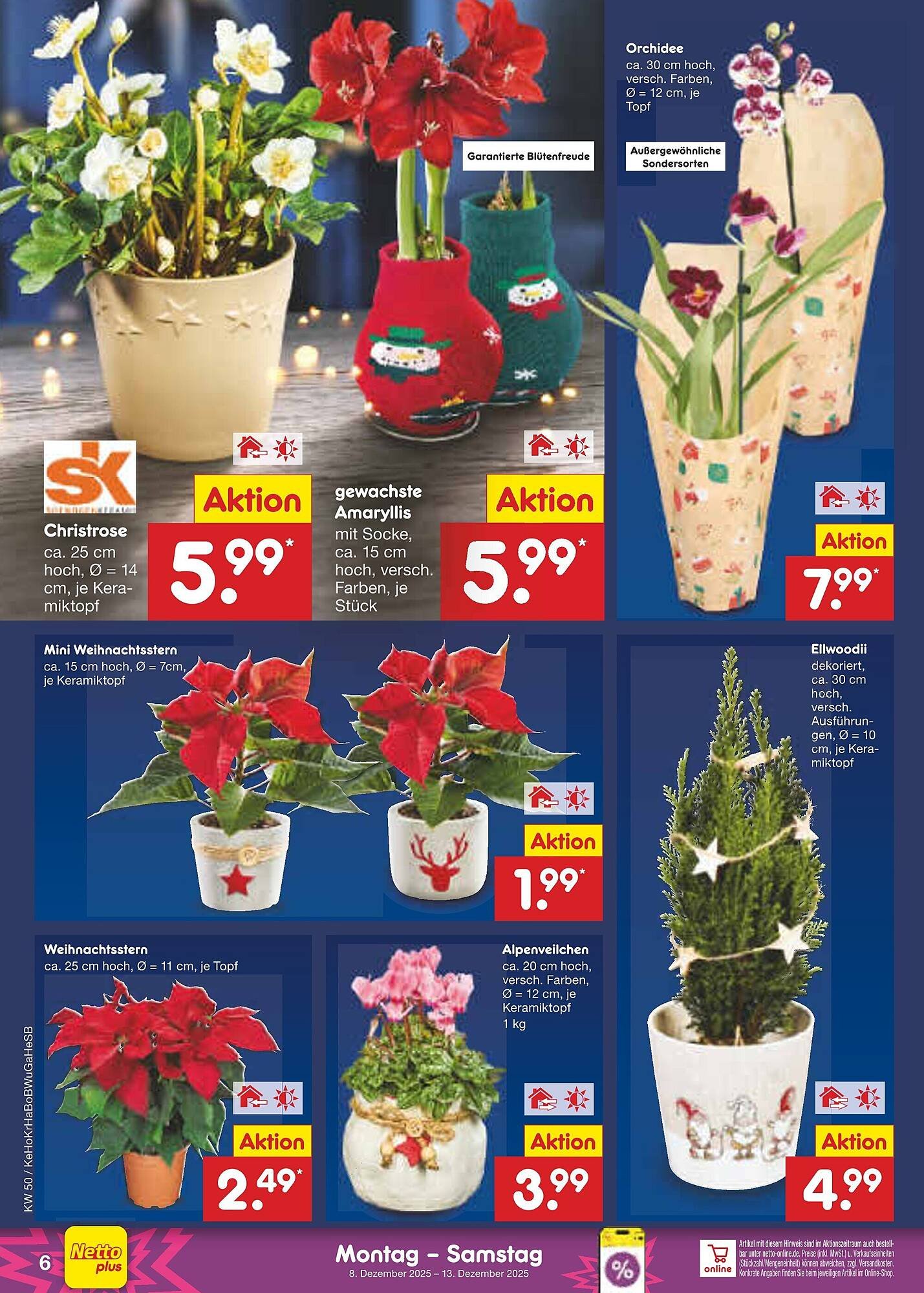 Netto Marken-Discount Prospekt (2025-12-08 - 2025-12-13)