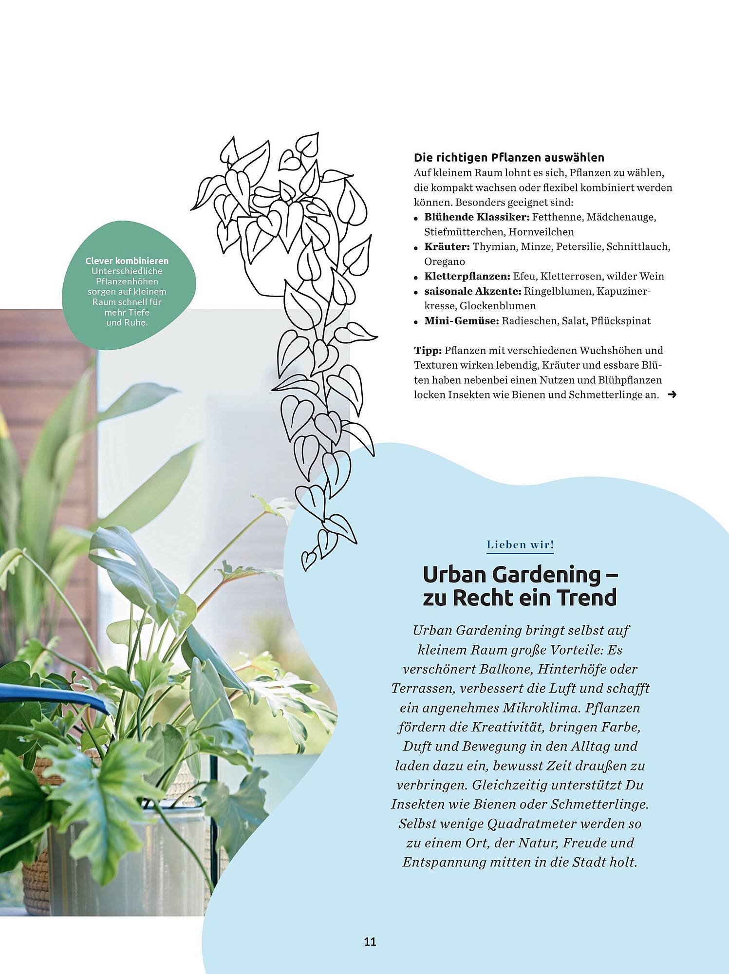 Budni Magazin (2026-05-05 - 2026-06-30)