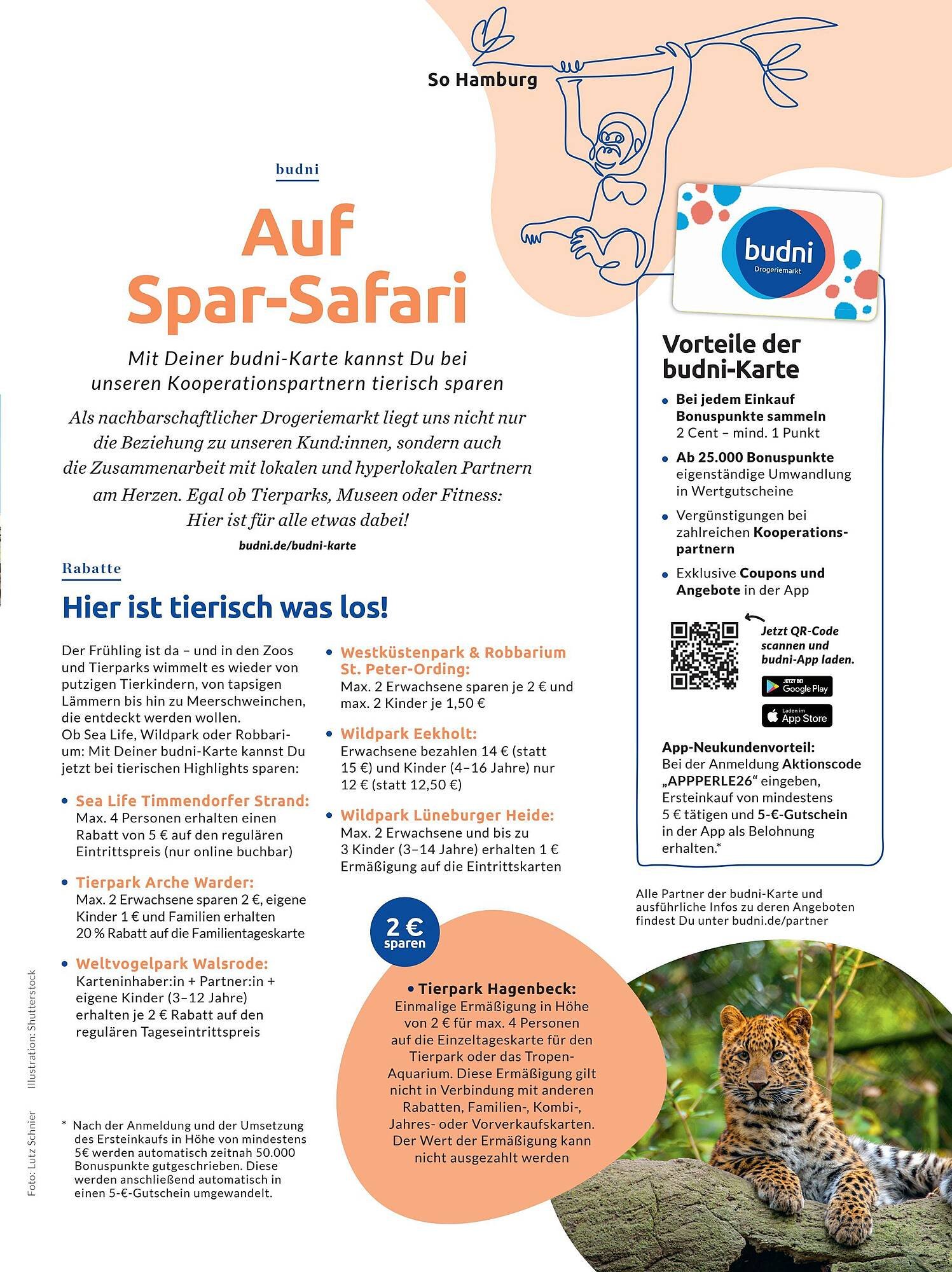 Budni Magazin