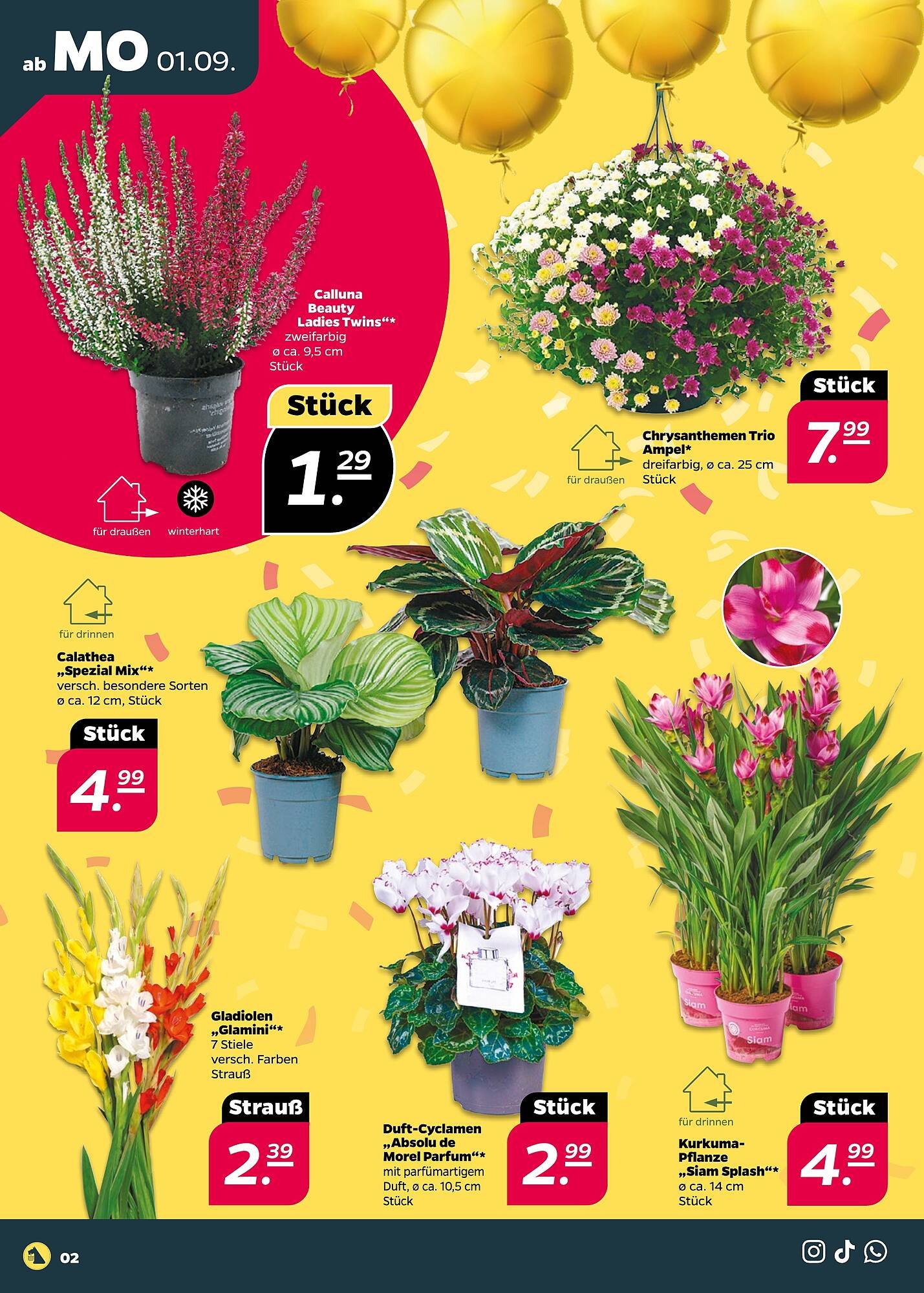 NETTO Prospekt (2025-09-01 - 2025-09-06) | 2