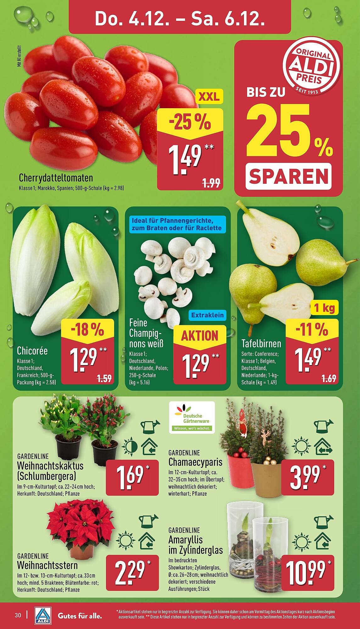 Aldi Nord Prospekt (2025-12-01 - 2025-12-06)