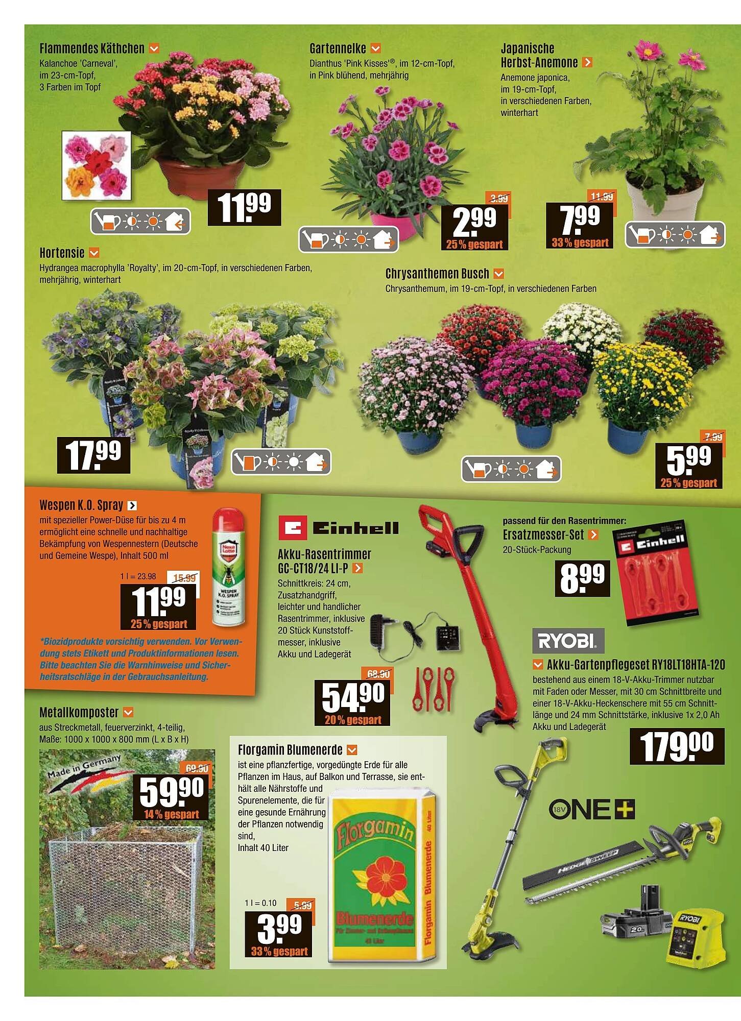 V Baumarkt Prospekt (2025-08-14 - 2025-08-20) | 2