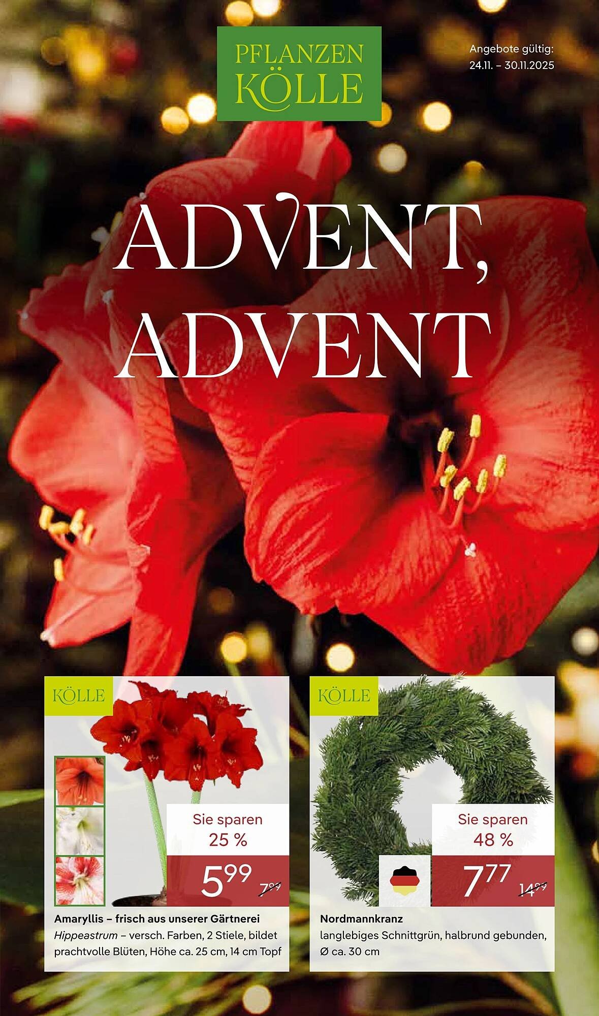 Pflanzen Kölle Prospekt