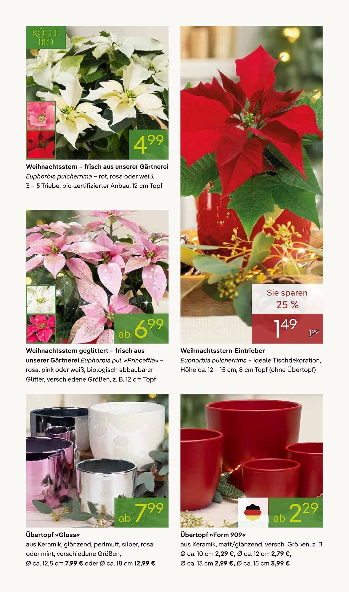 Pflanzen Kölle Prospekt