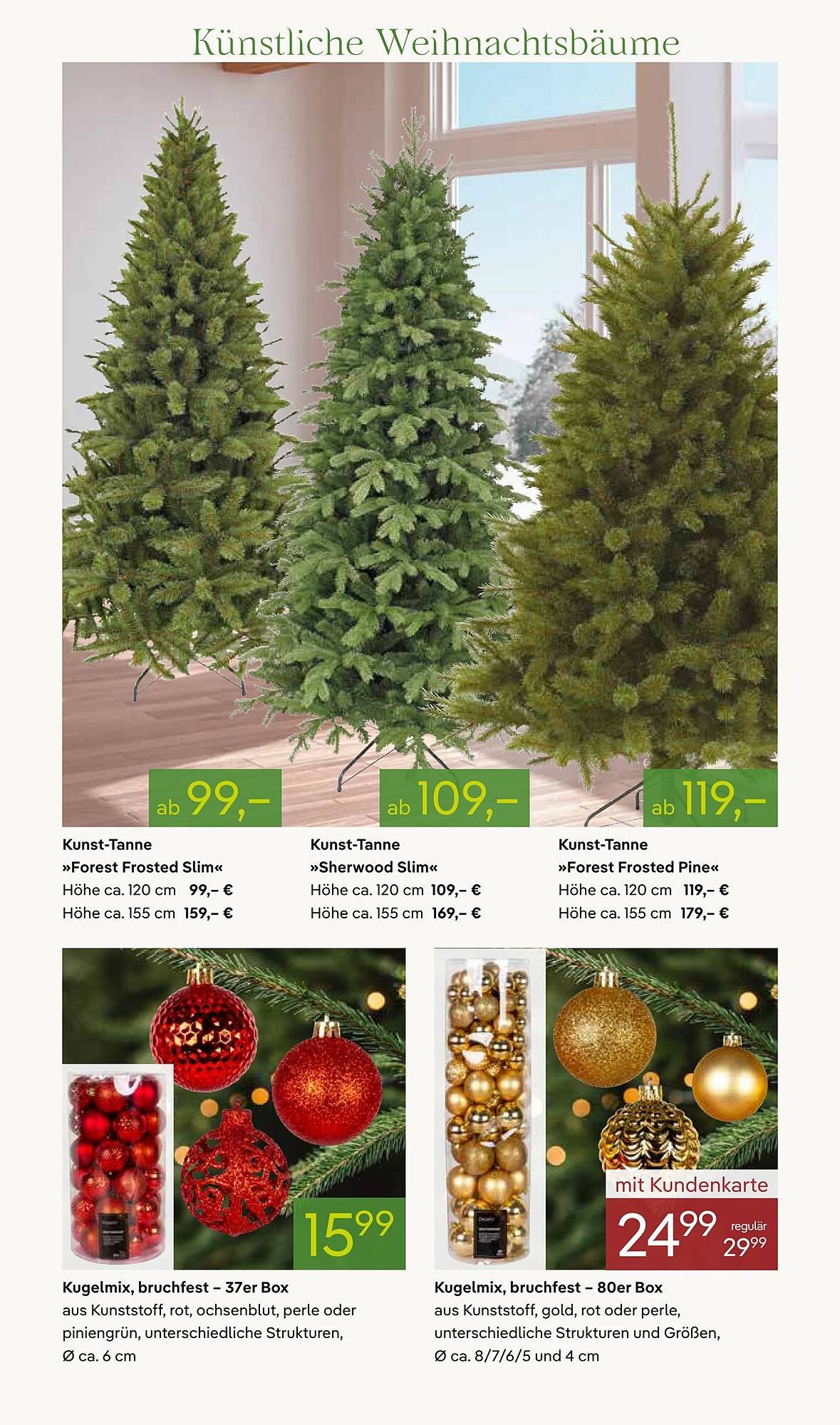 Pflanzen Kölle Prospekt